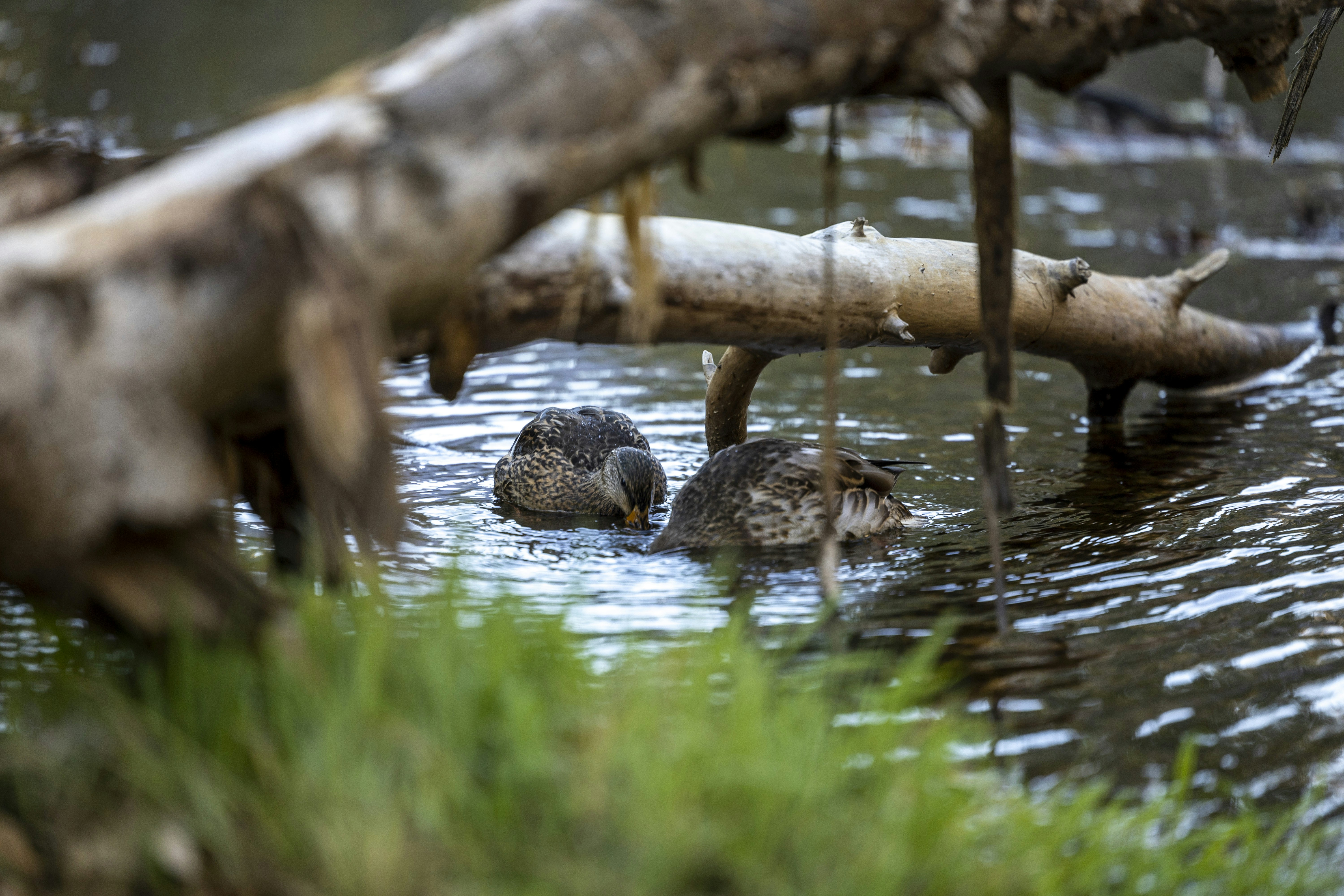 Photo by leo_visions_