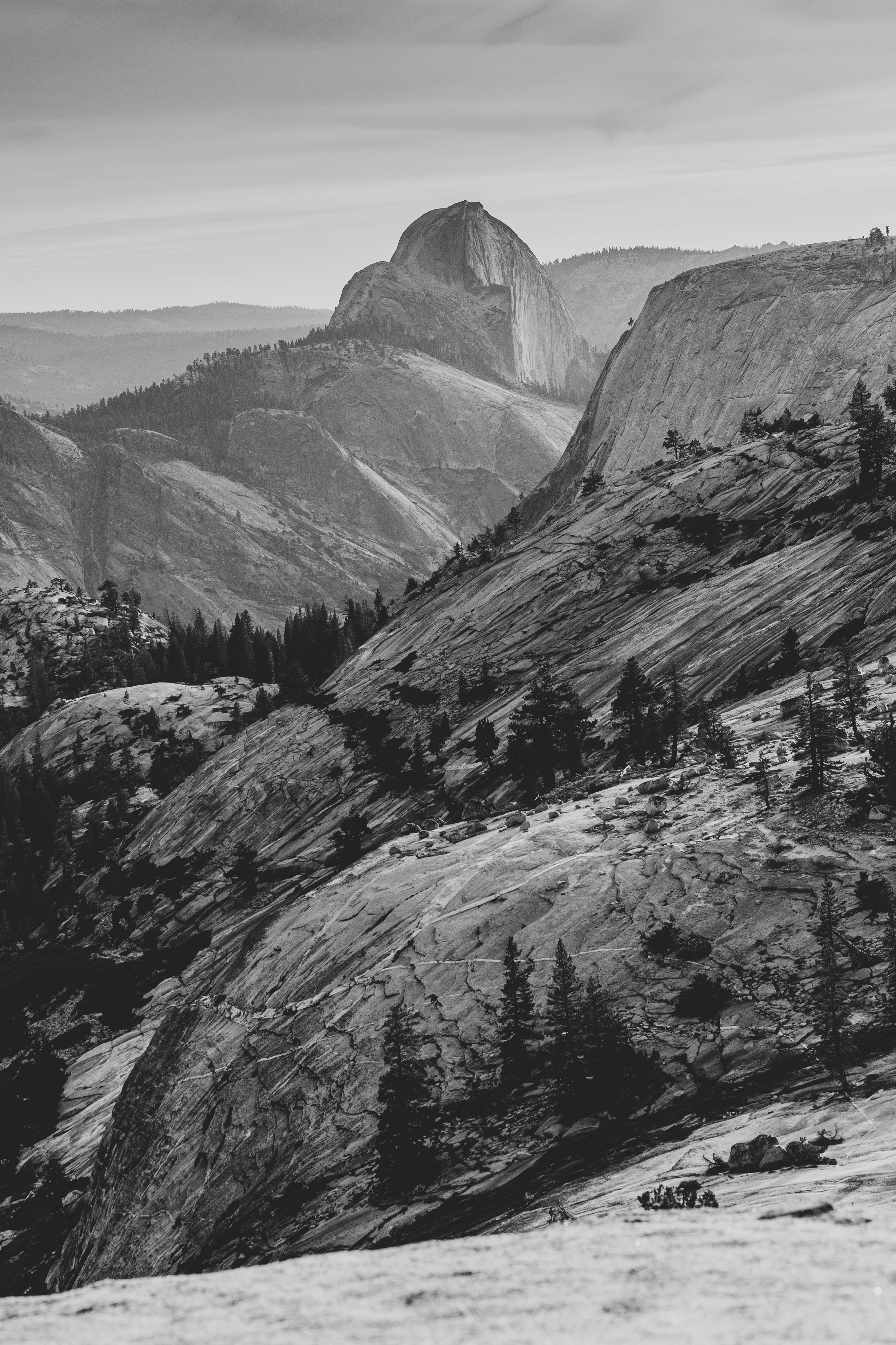 Photo by leo_visions_