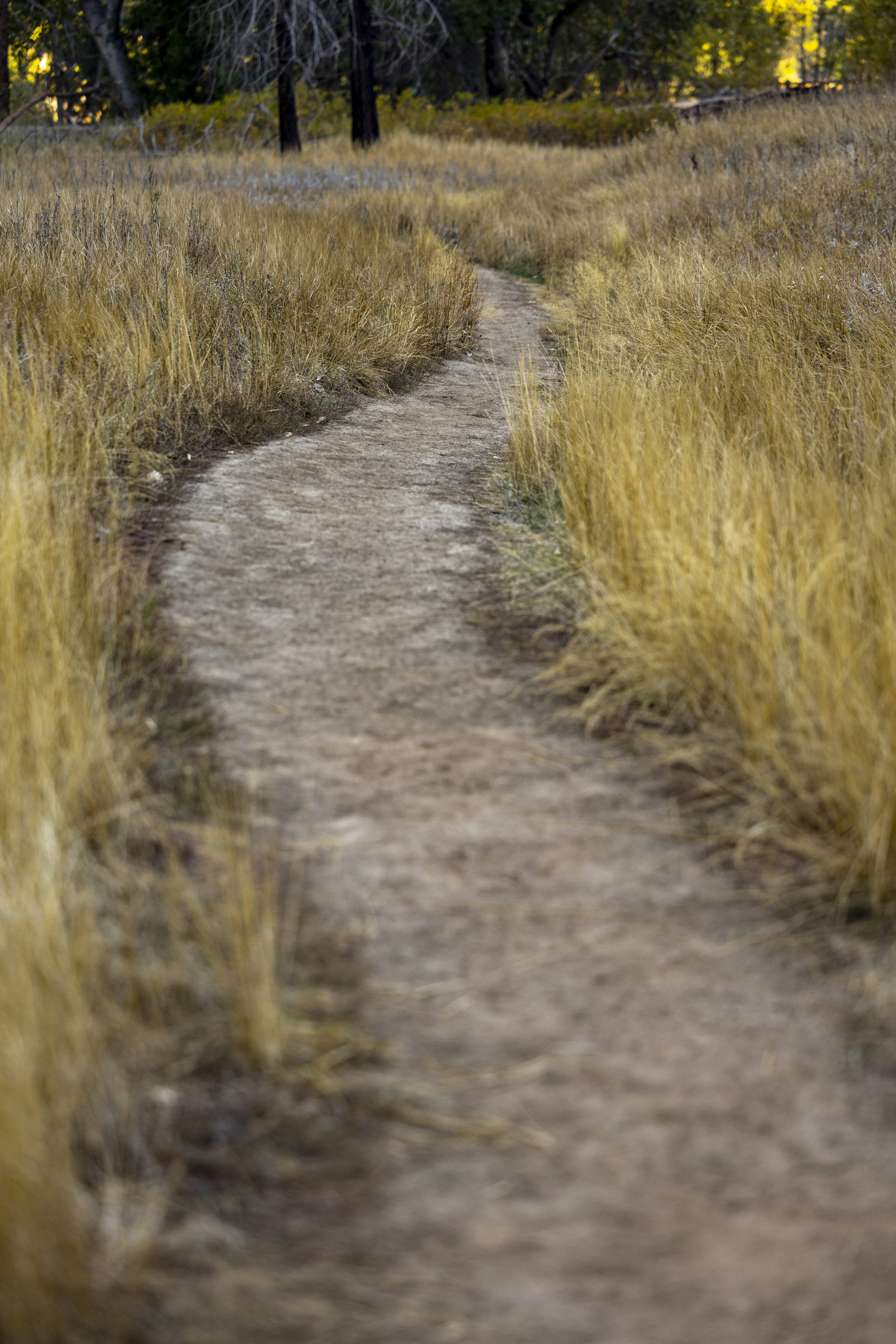 Photo by leo_visions_