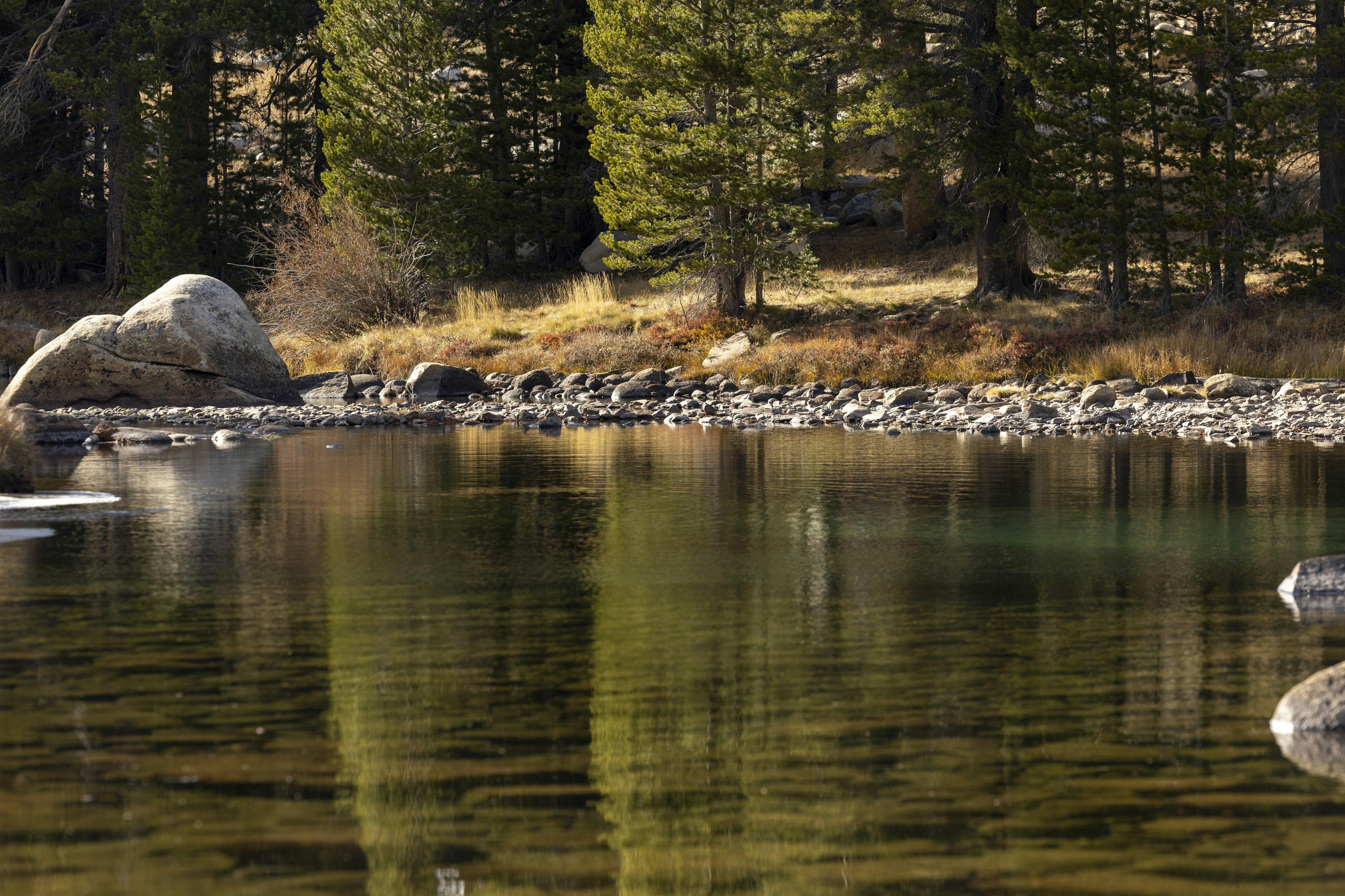 Photo by leo_visions_