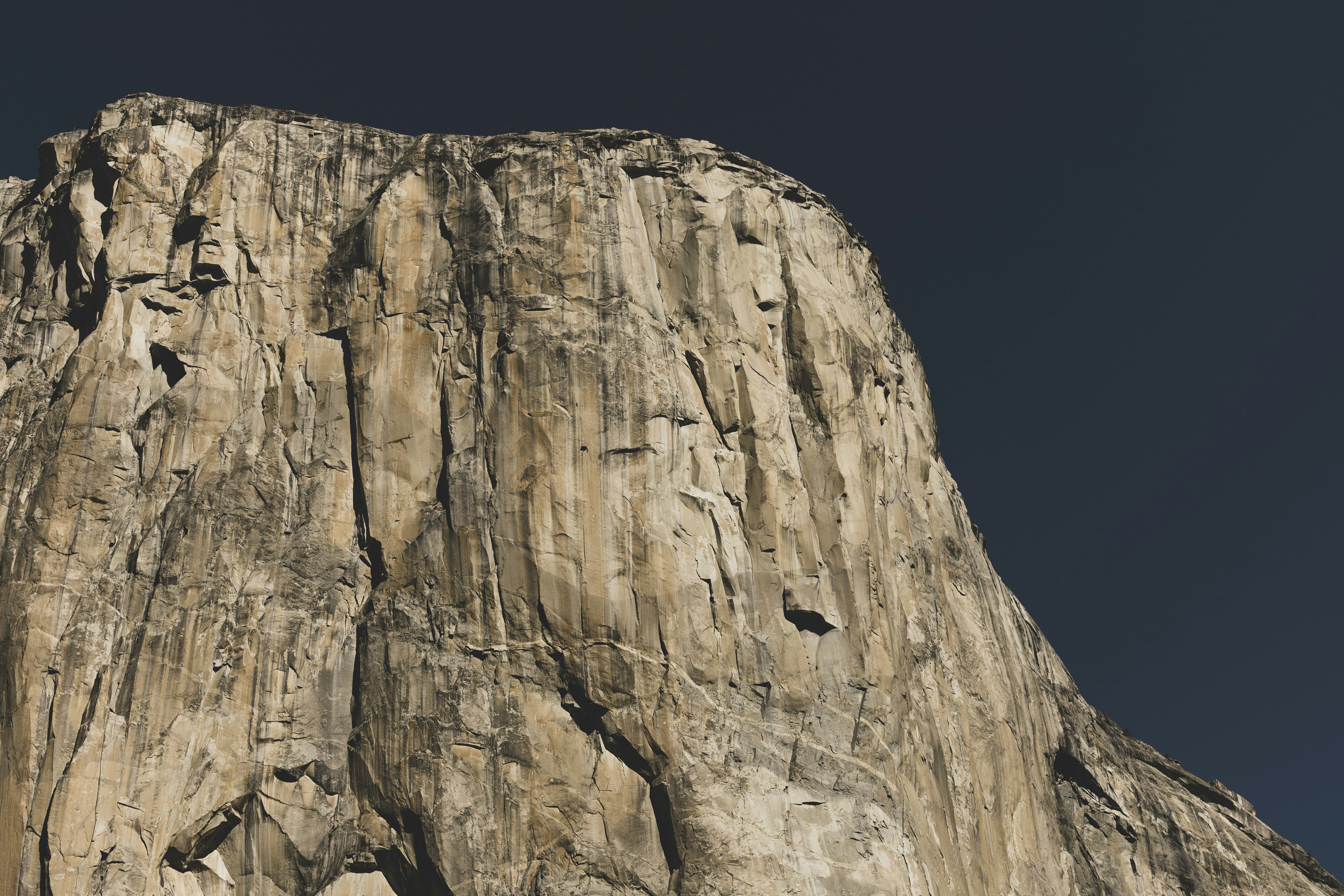 Photo by leo_visions_