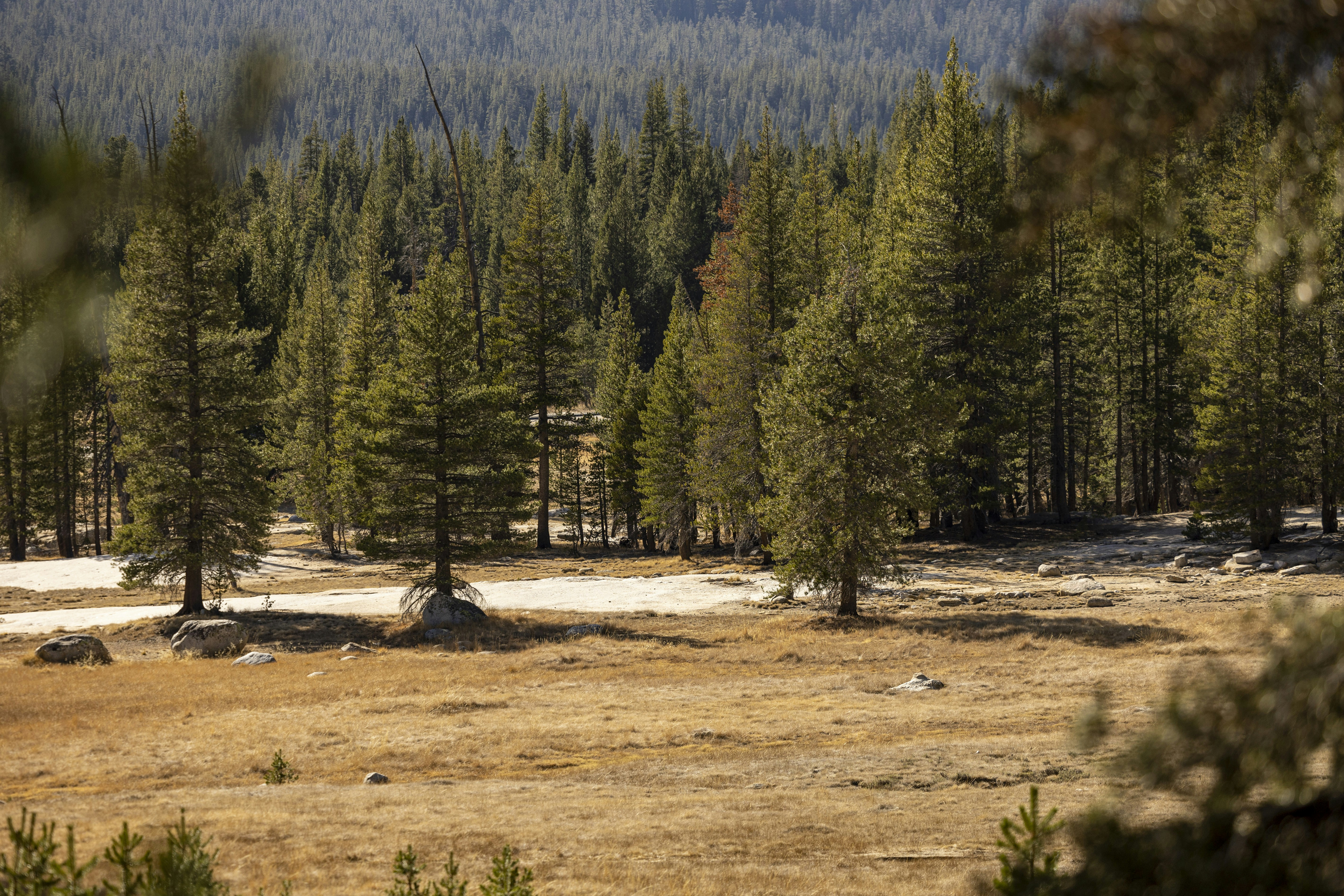 Photo by leo_visions_