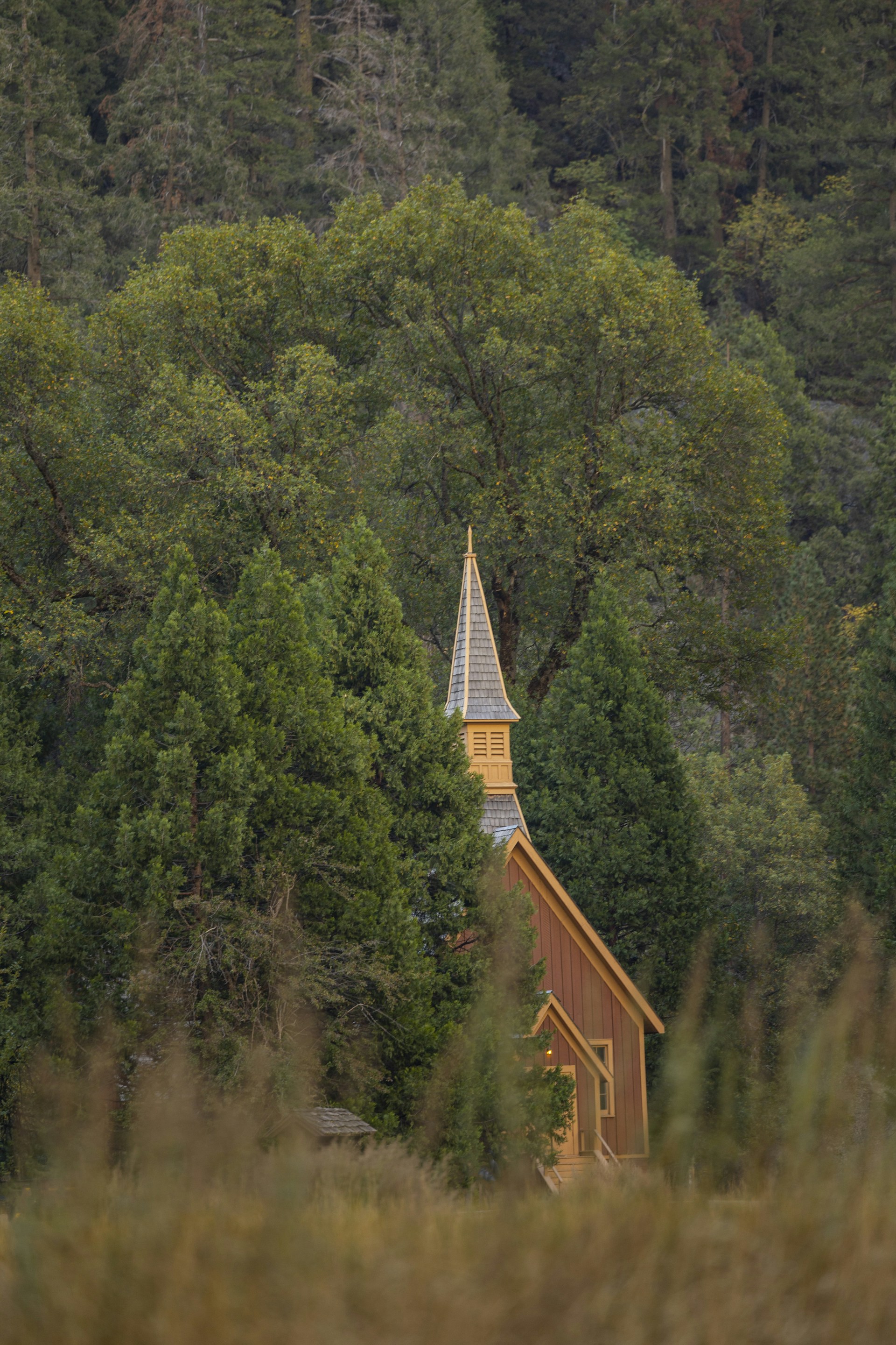 a building surrounded by trees