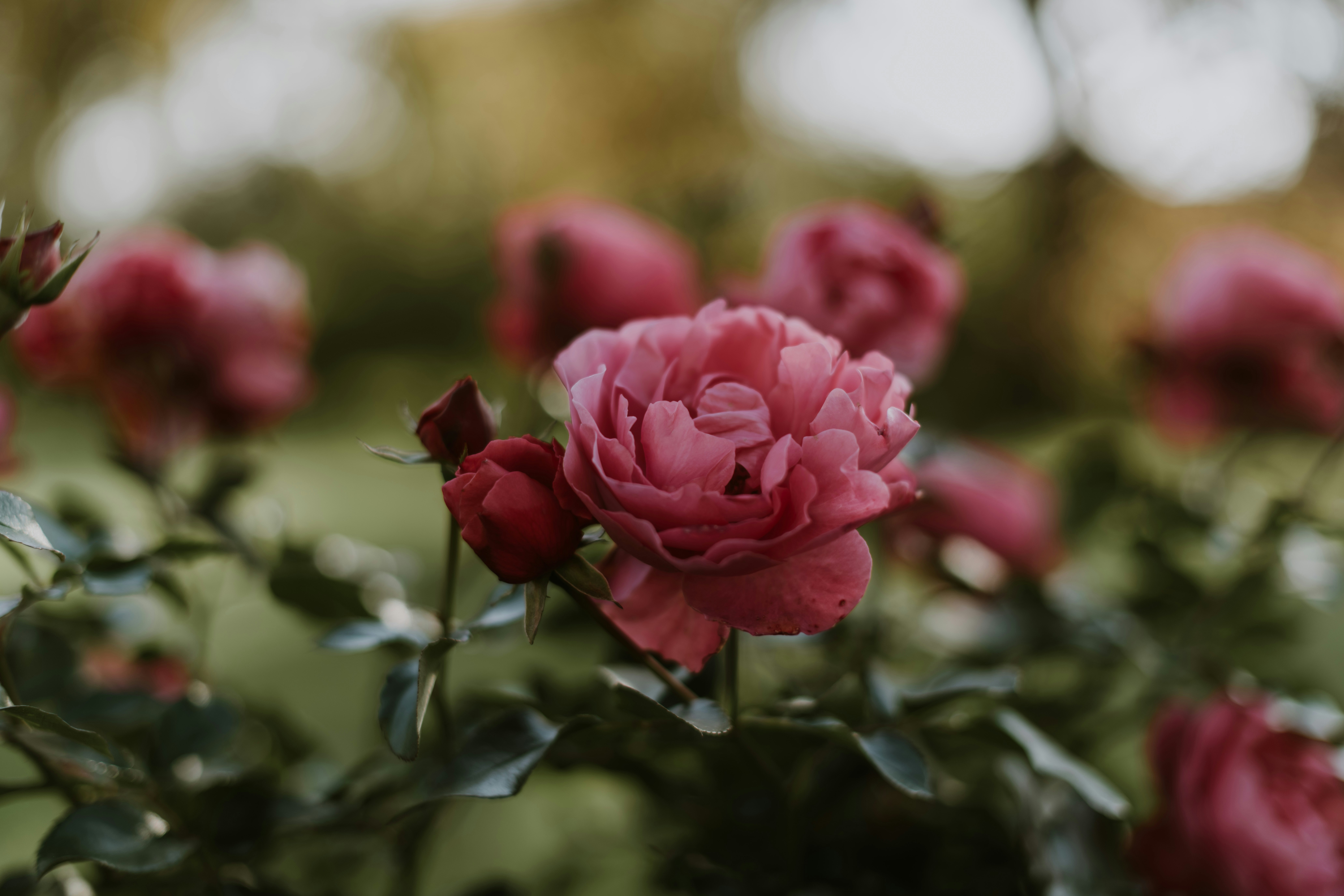 Photo by anitaaustvika