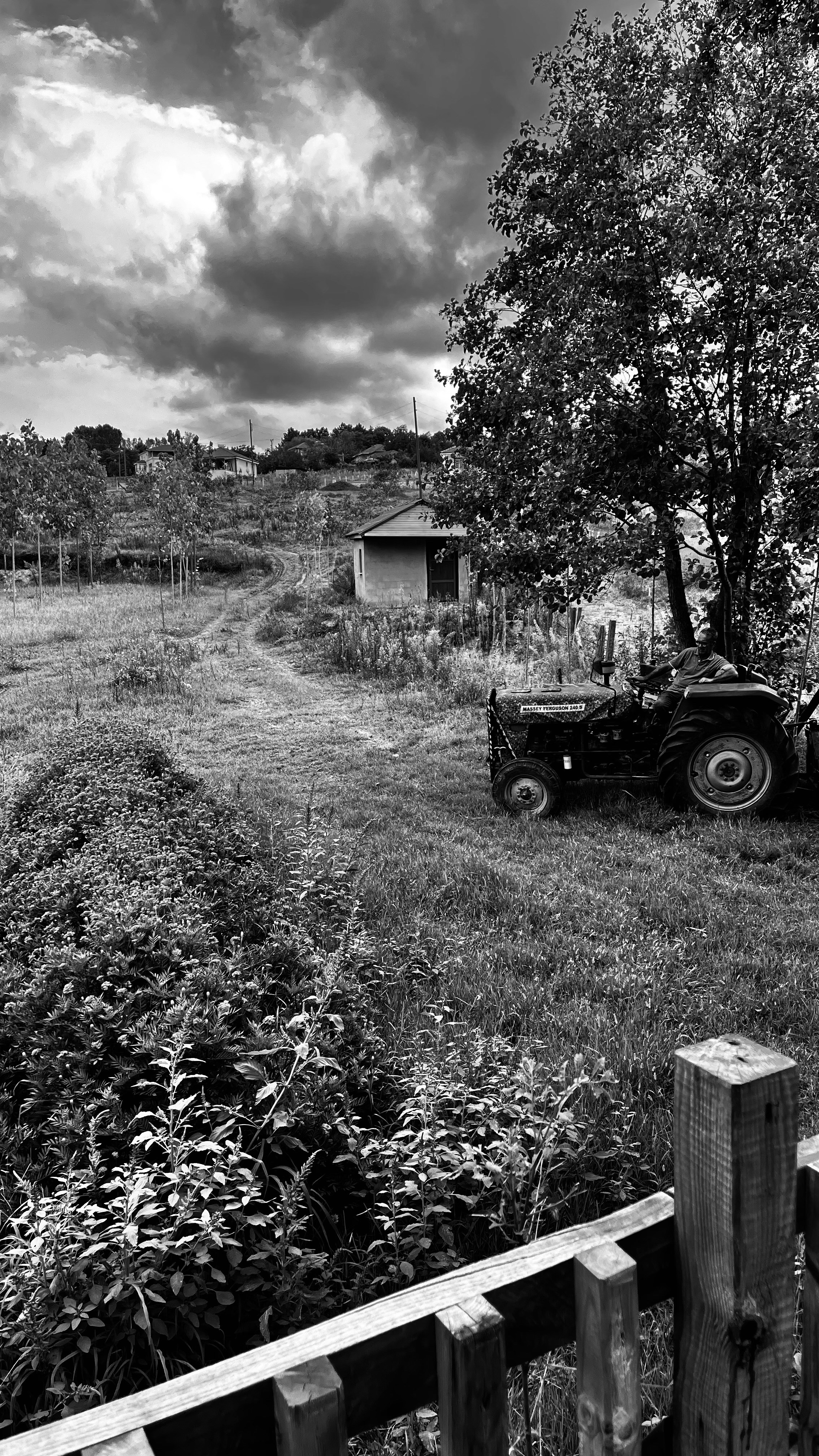 Photo by hasanalisiseci