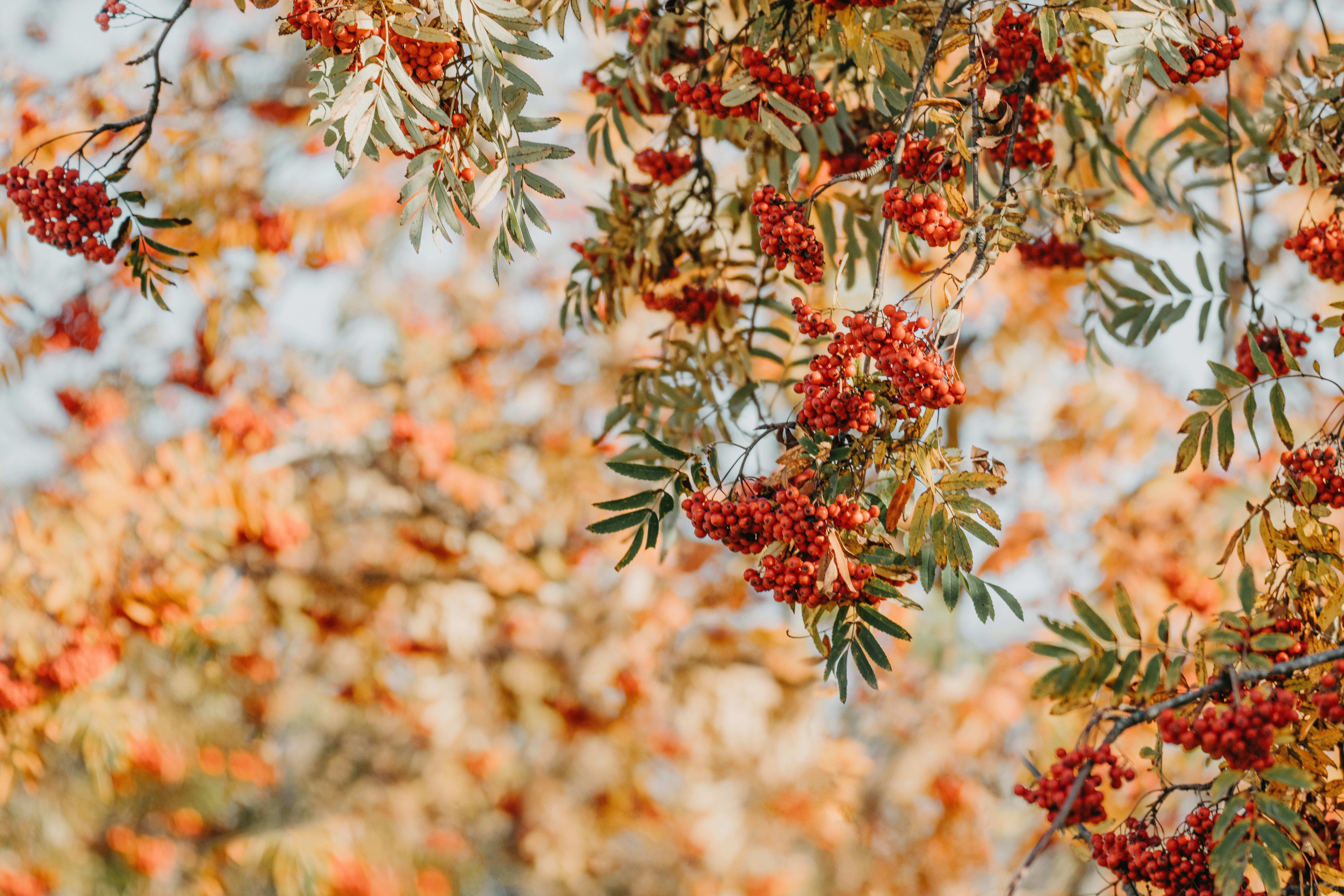 Photo by anitaaustvika