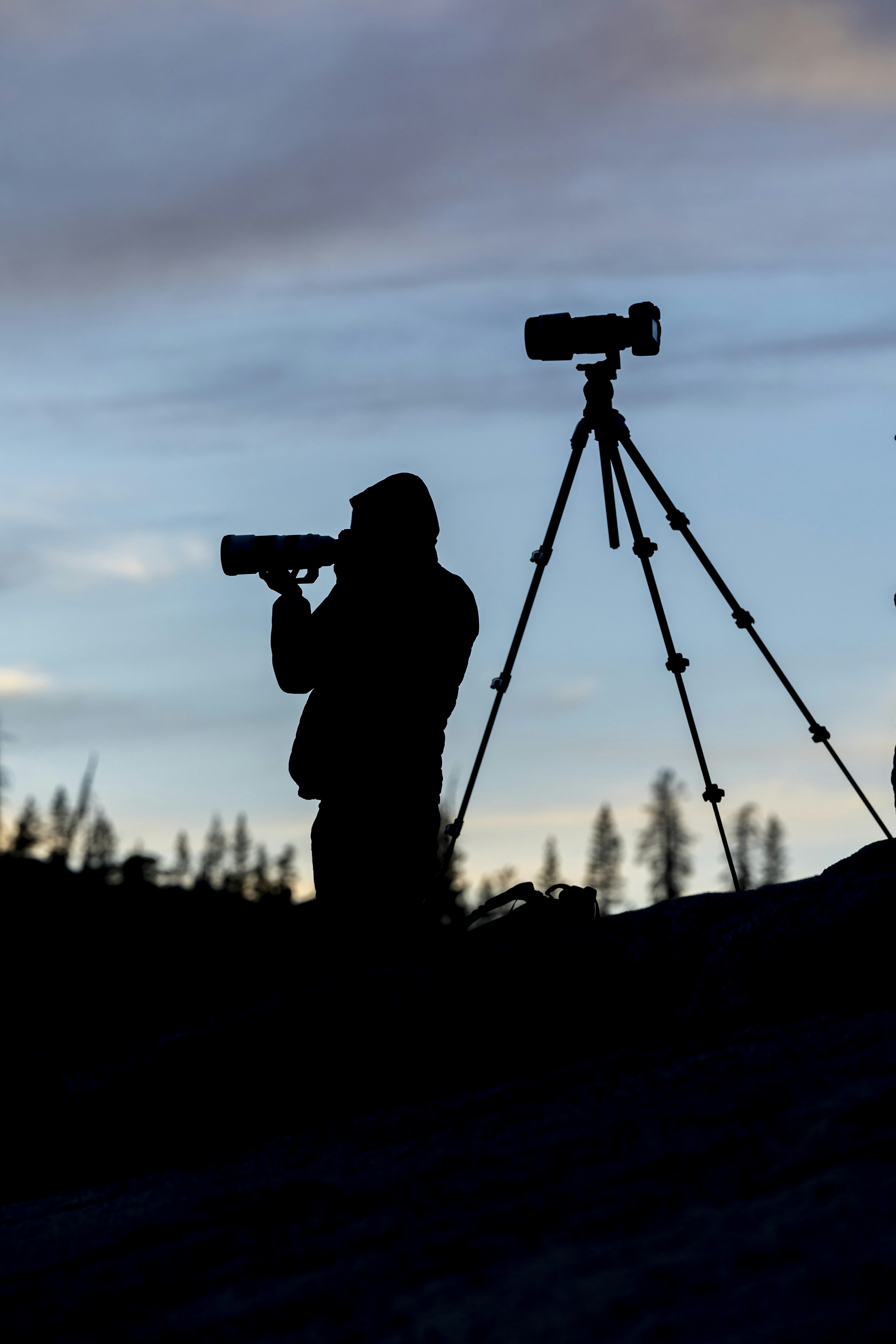 Photo by leo_visions_