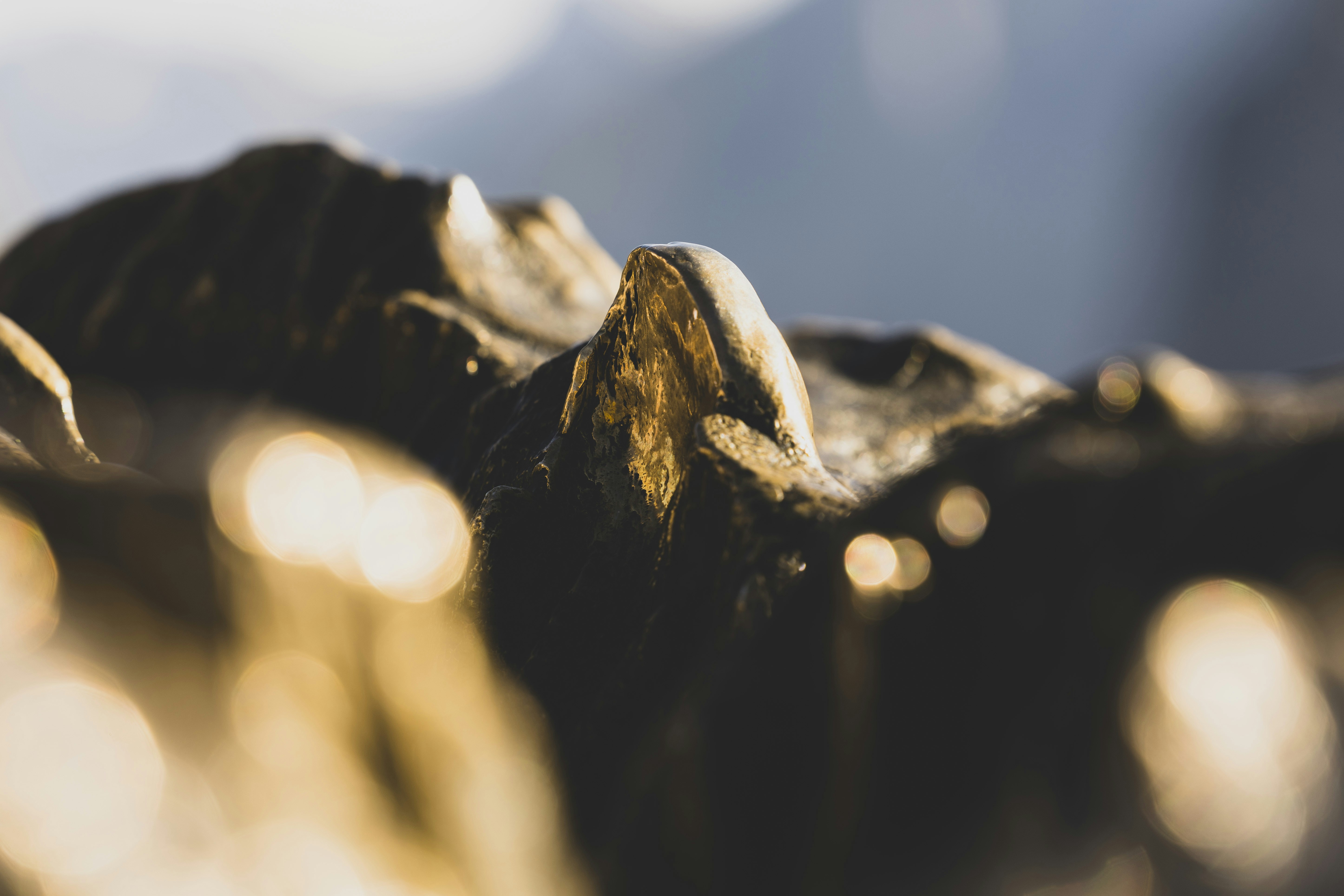 Photo by leo_visions_