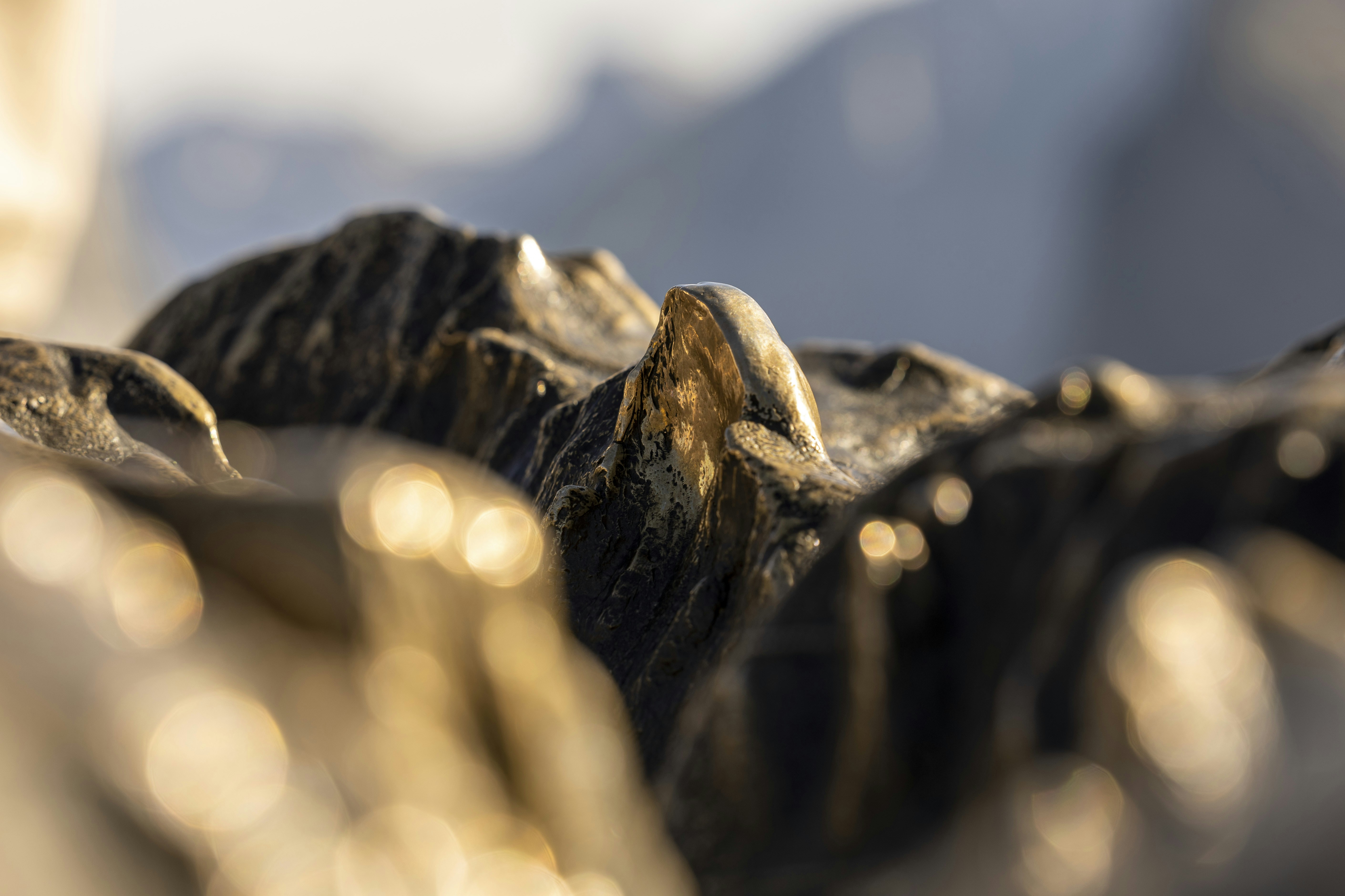 A close up of a chain photo Free Yosemite national park Image on Unsplash
