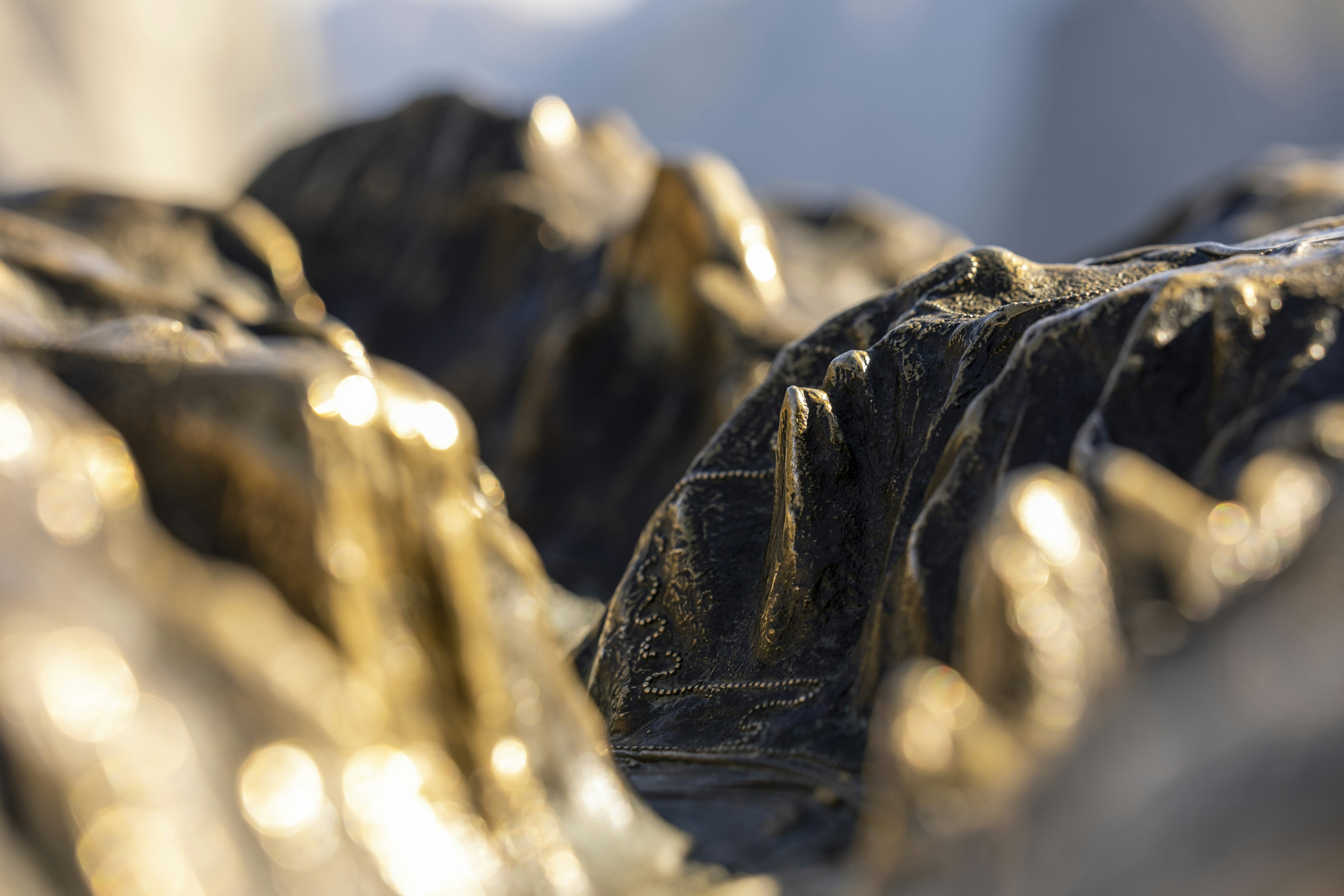 Photo by leo_visions_