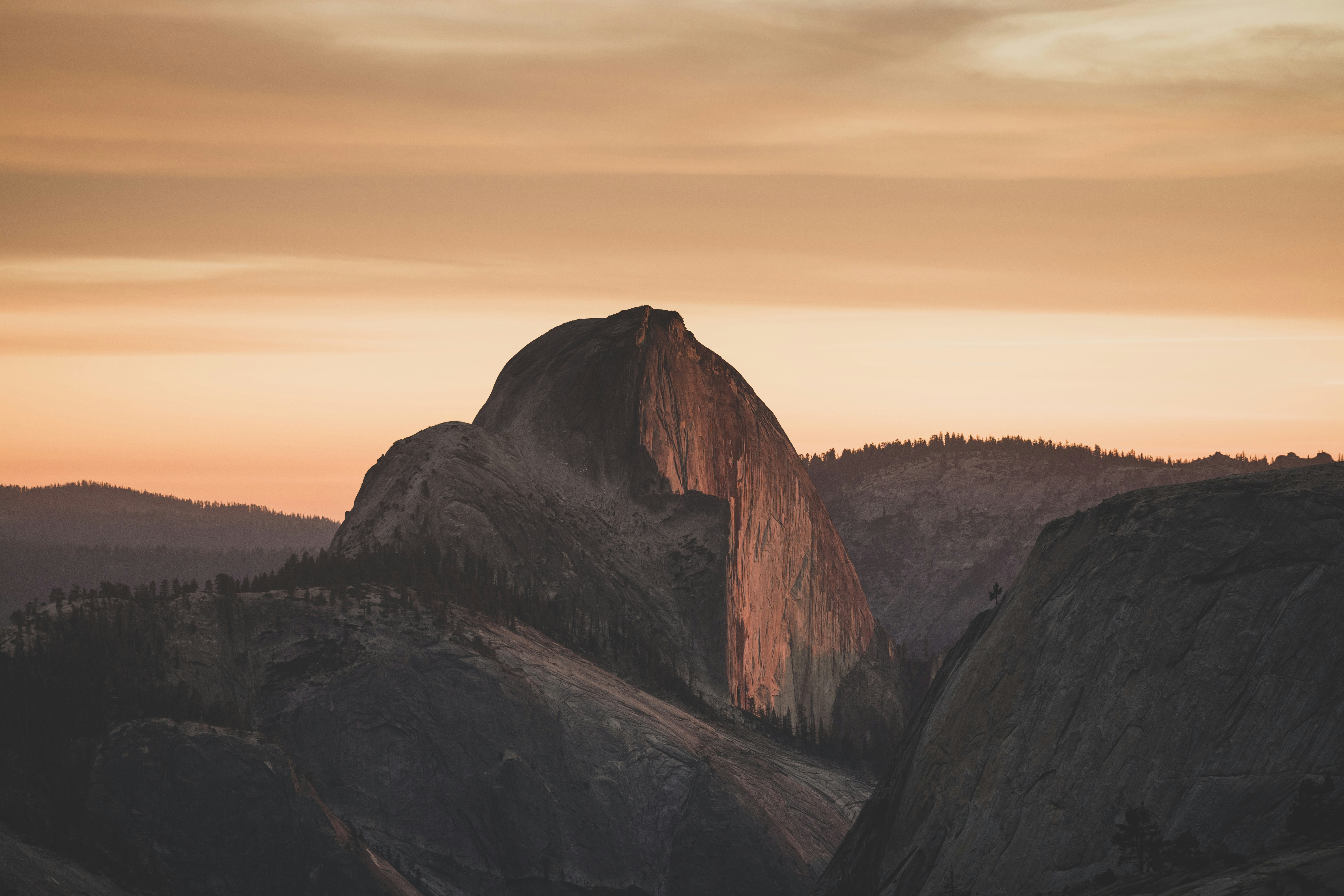 Photo by leo_visions_