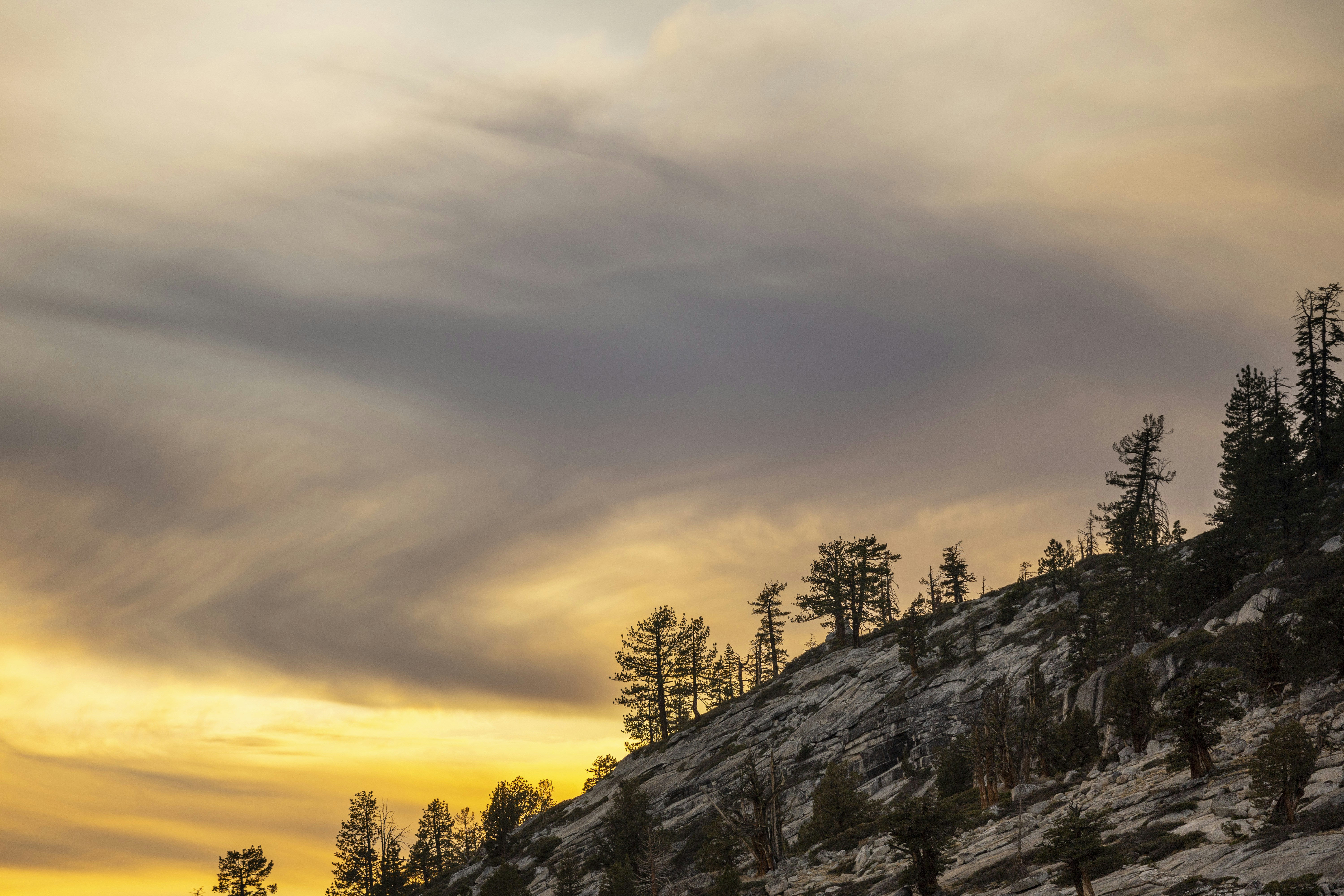 Photo by leo_visions_