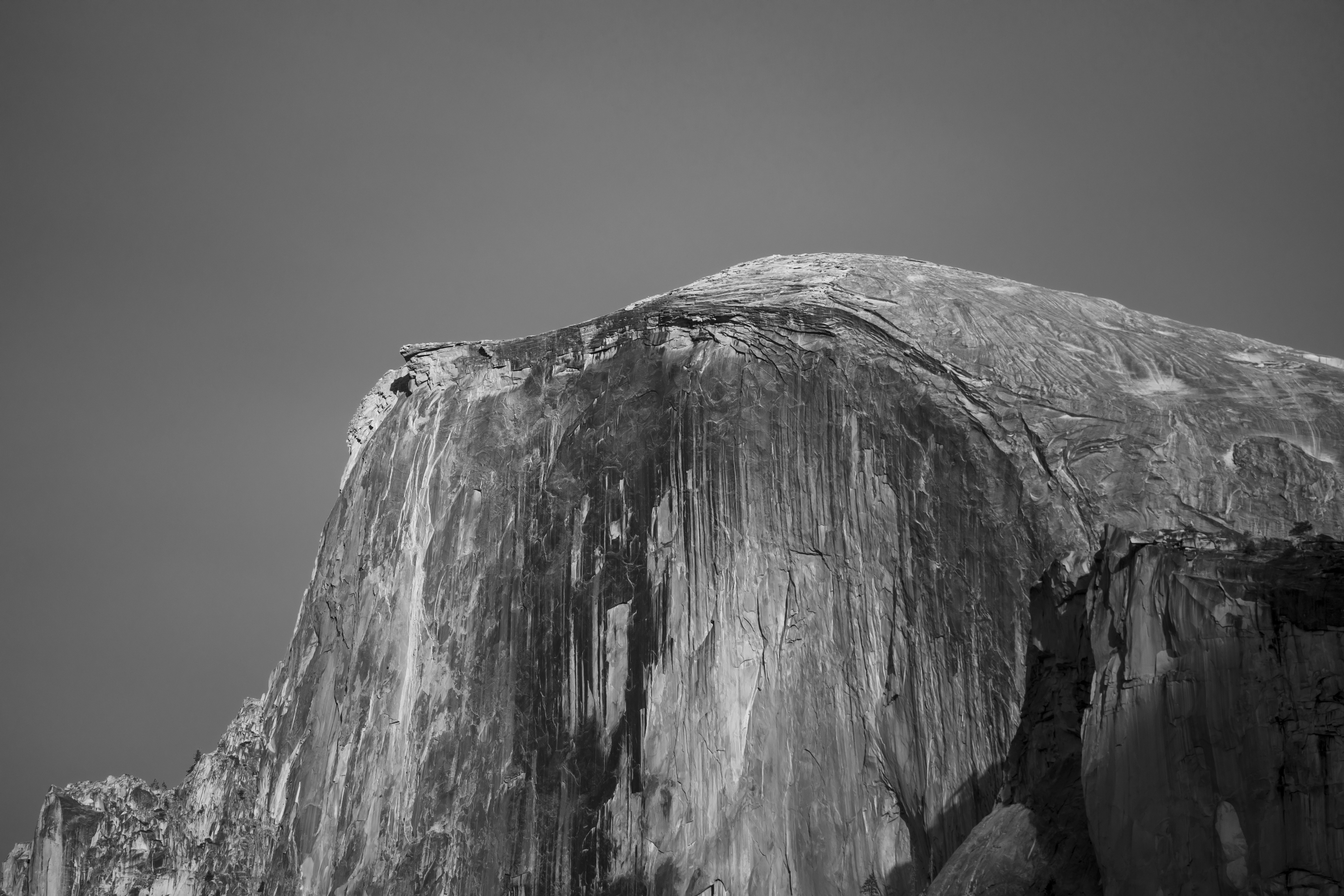 Photo by leo_visions_