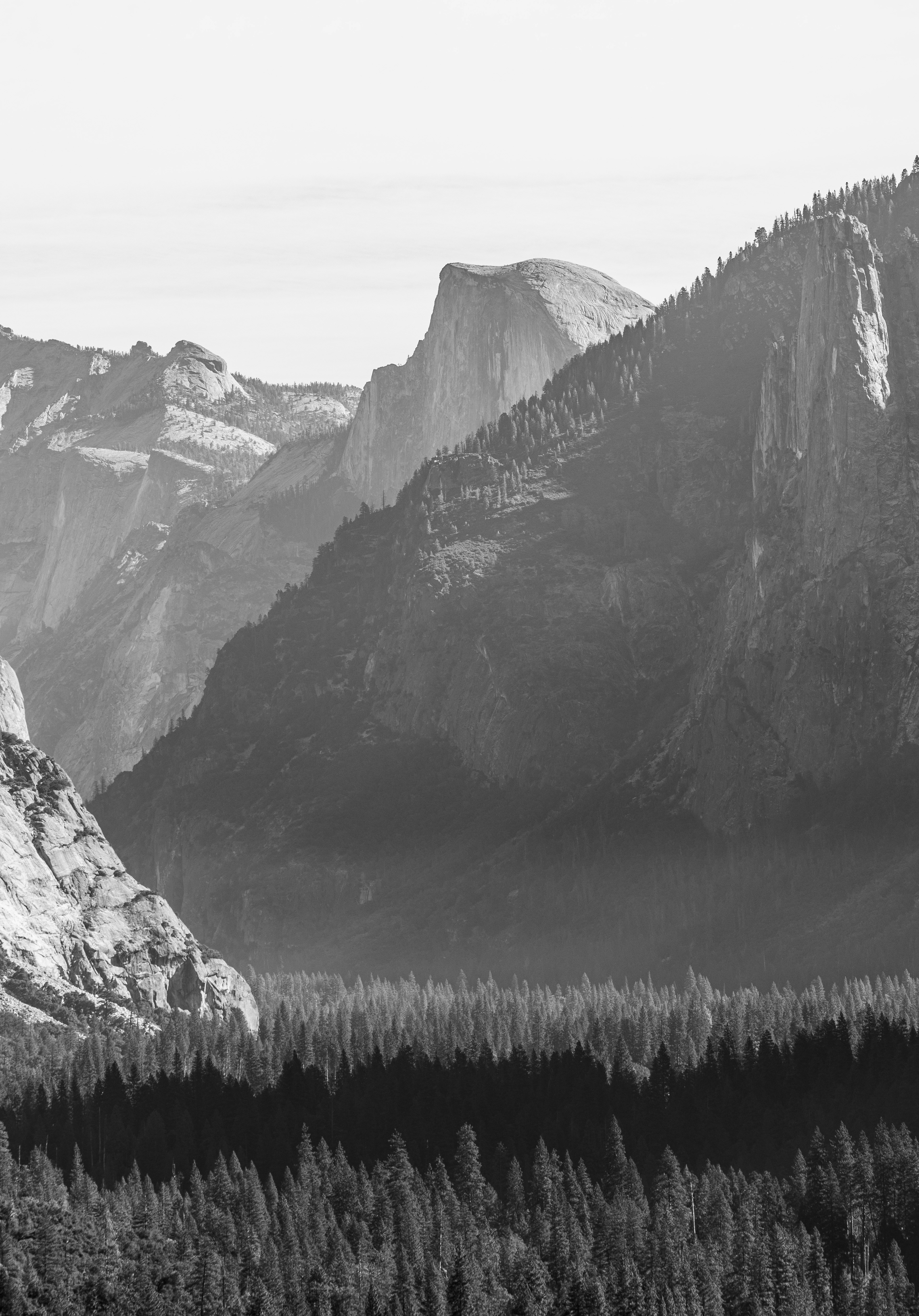 Photo by leo_visions_