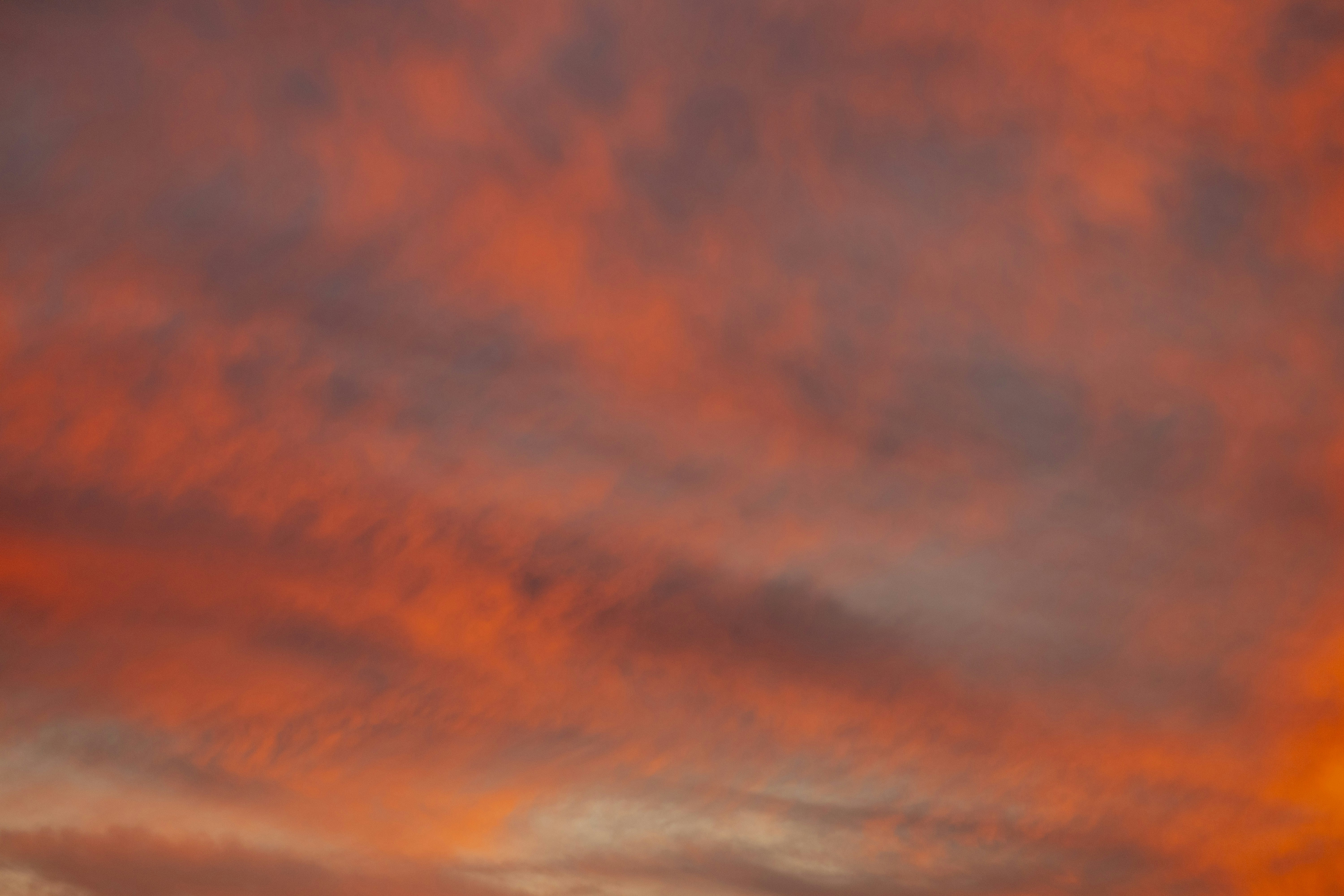 Photo by leo_visions_