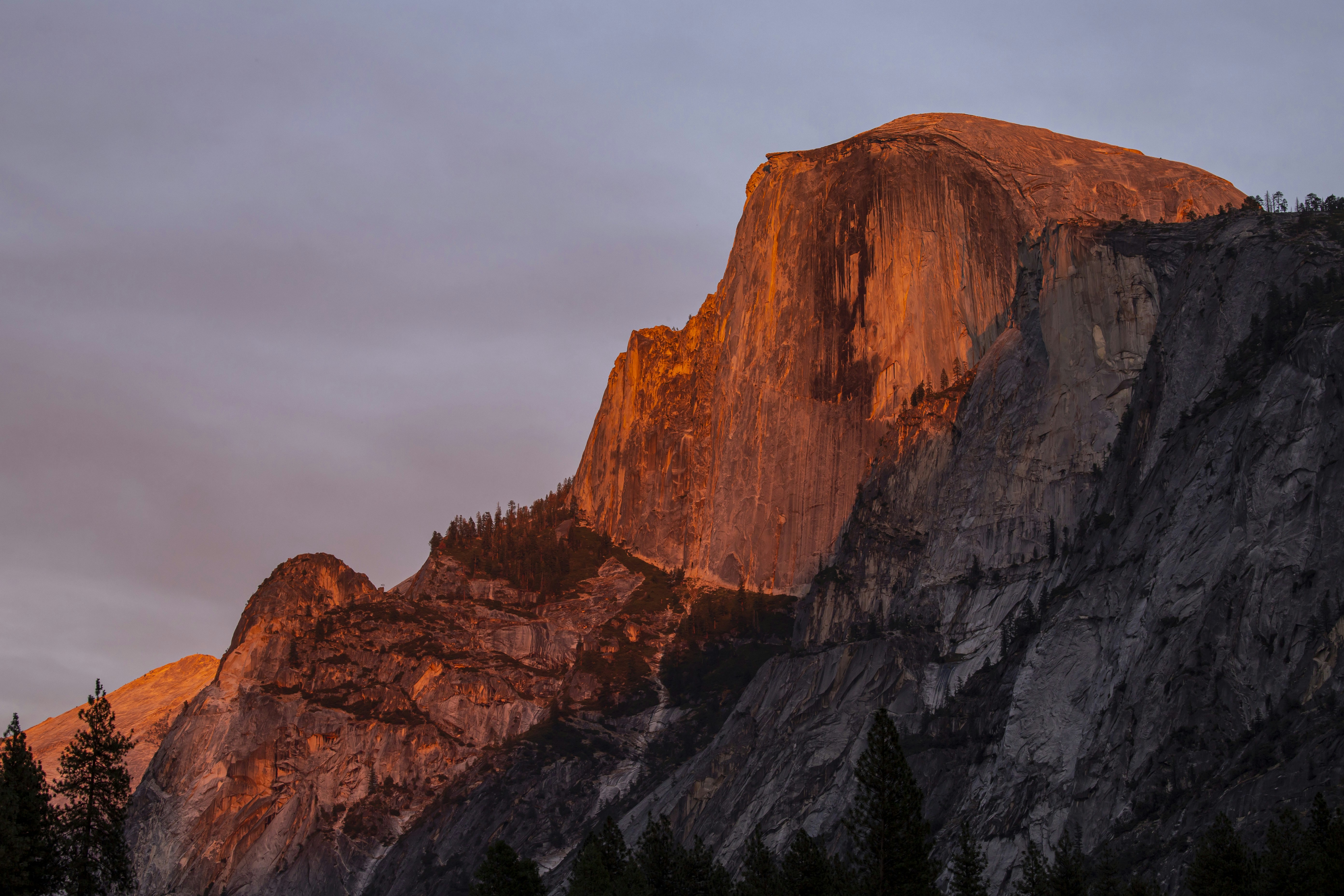 Photo by leo_visions_