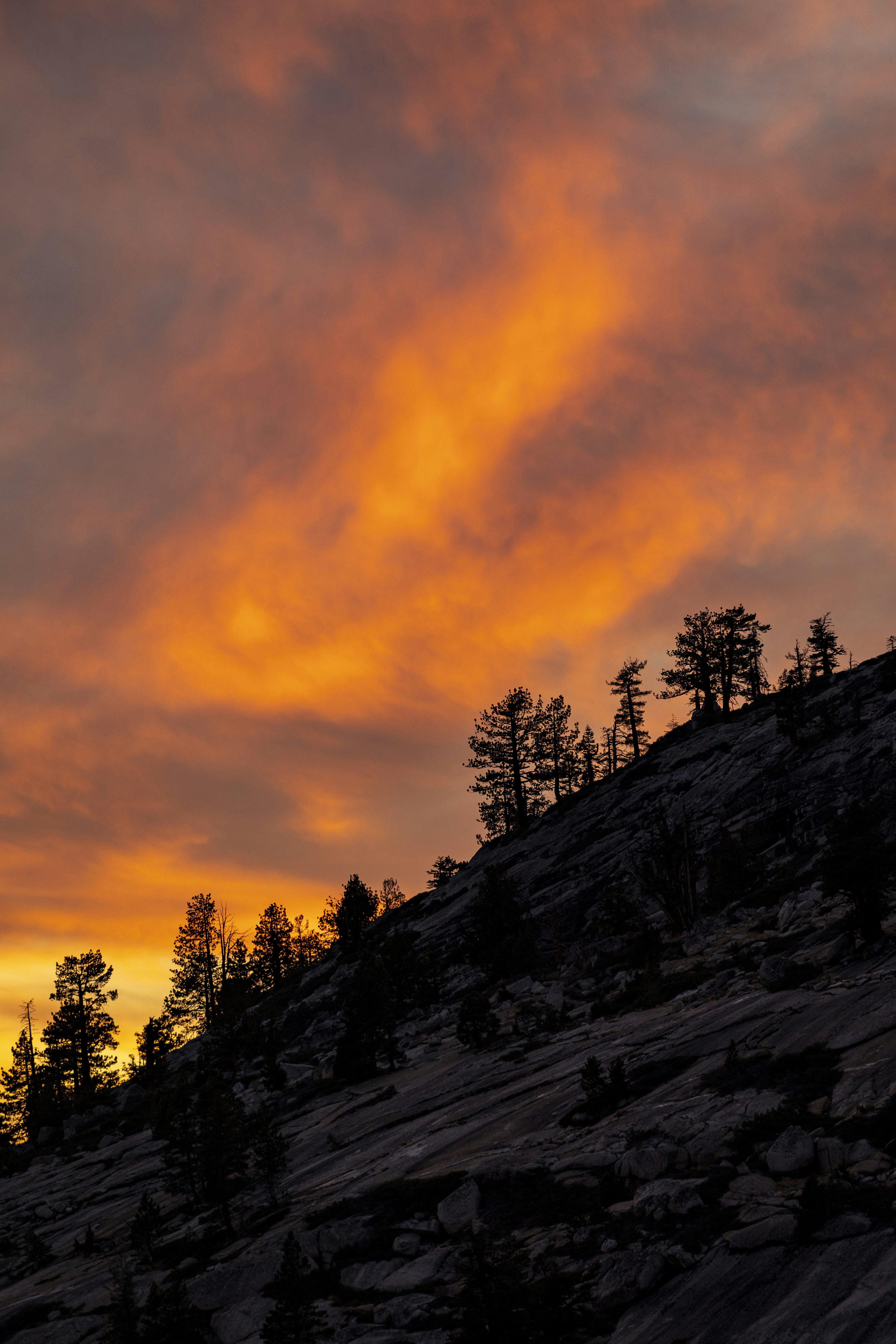 Photo by leo_visions_