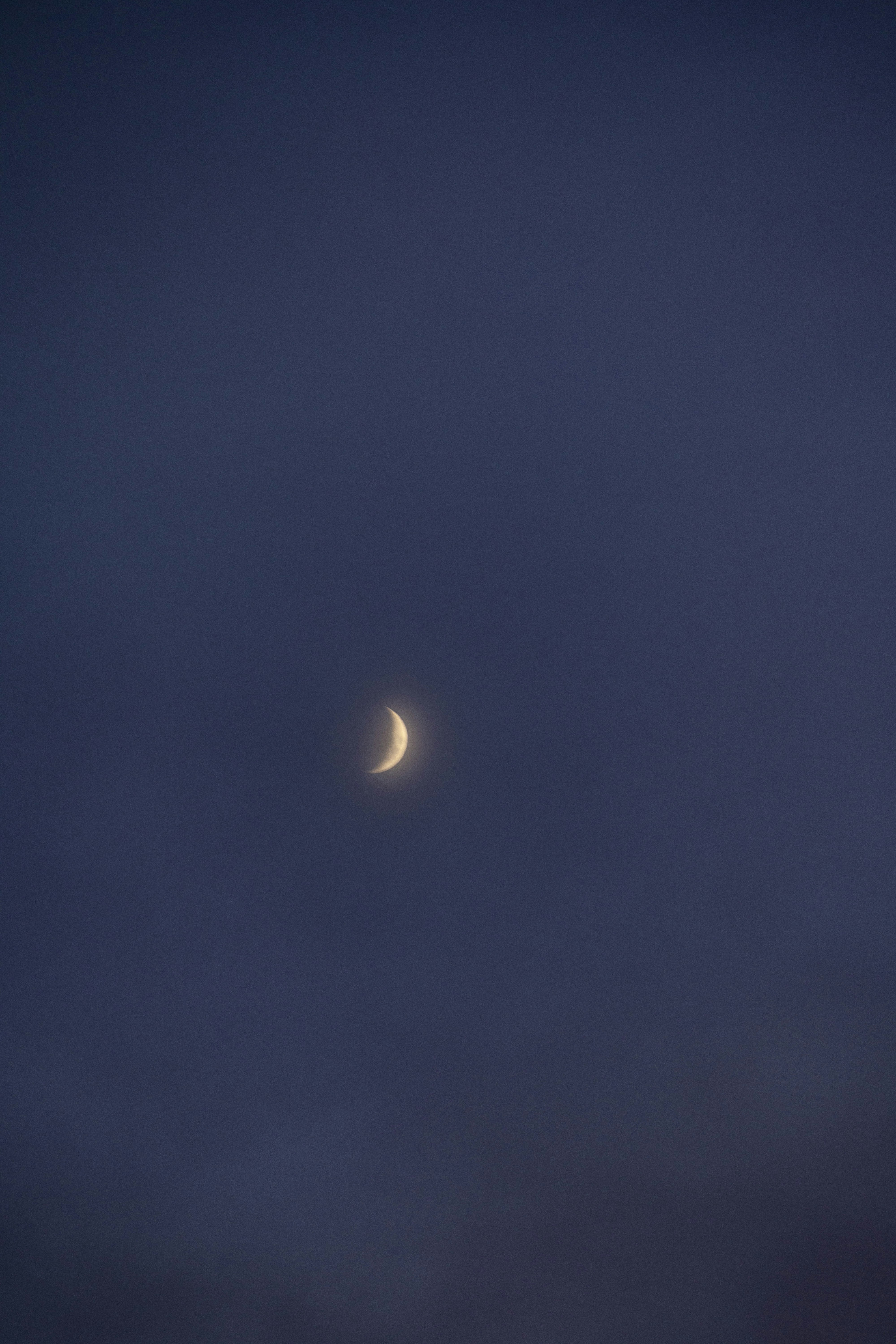 Photo by leo_visions_