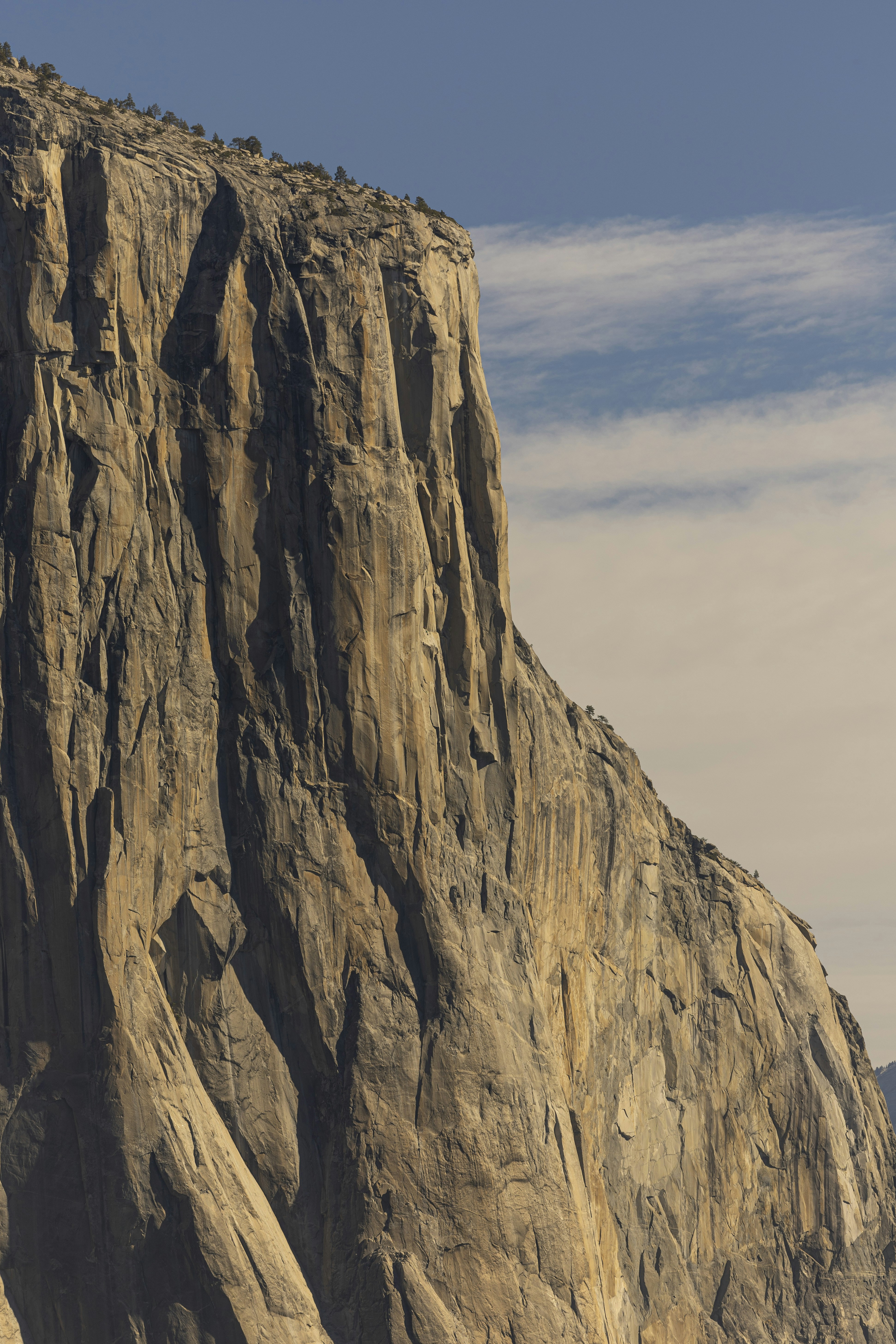 Photo by leo_visions_