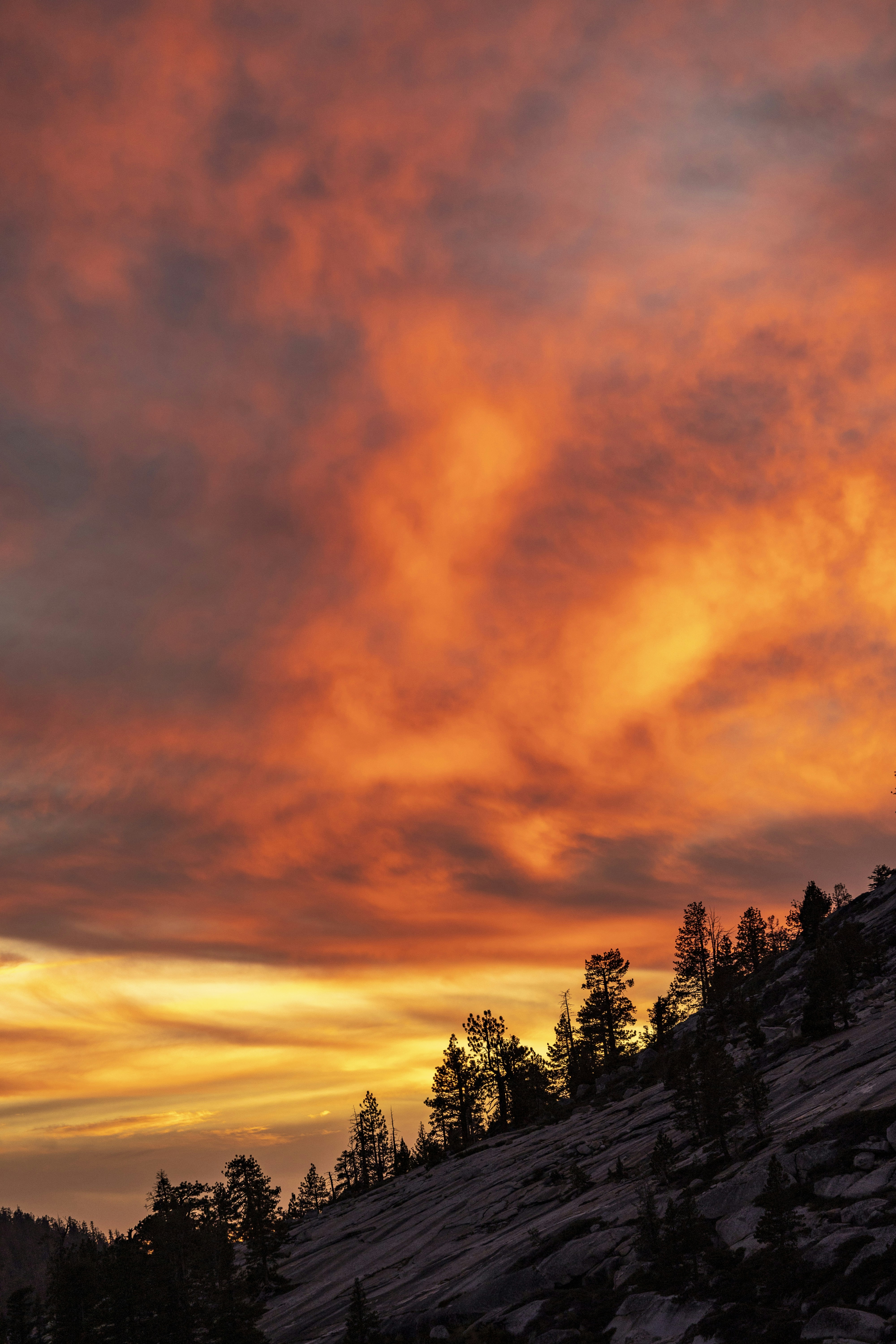 Photo by leo_visions_