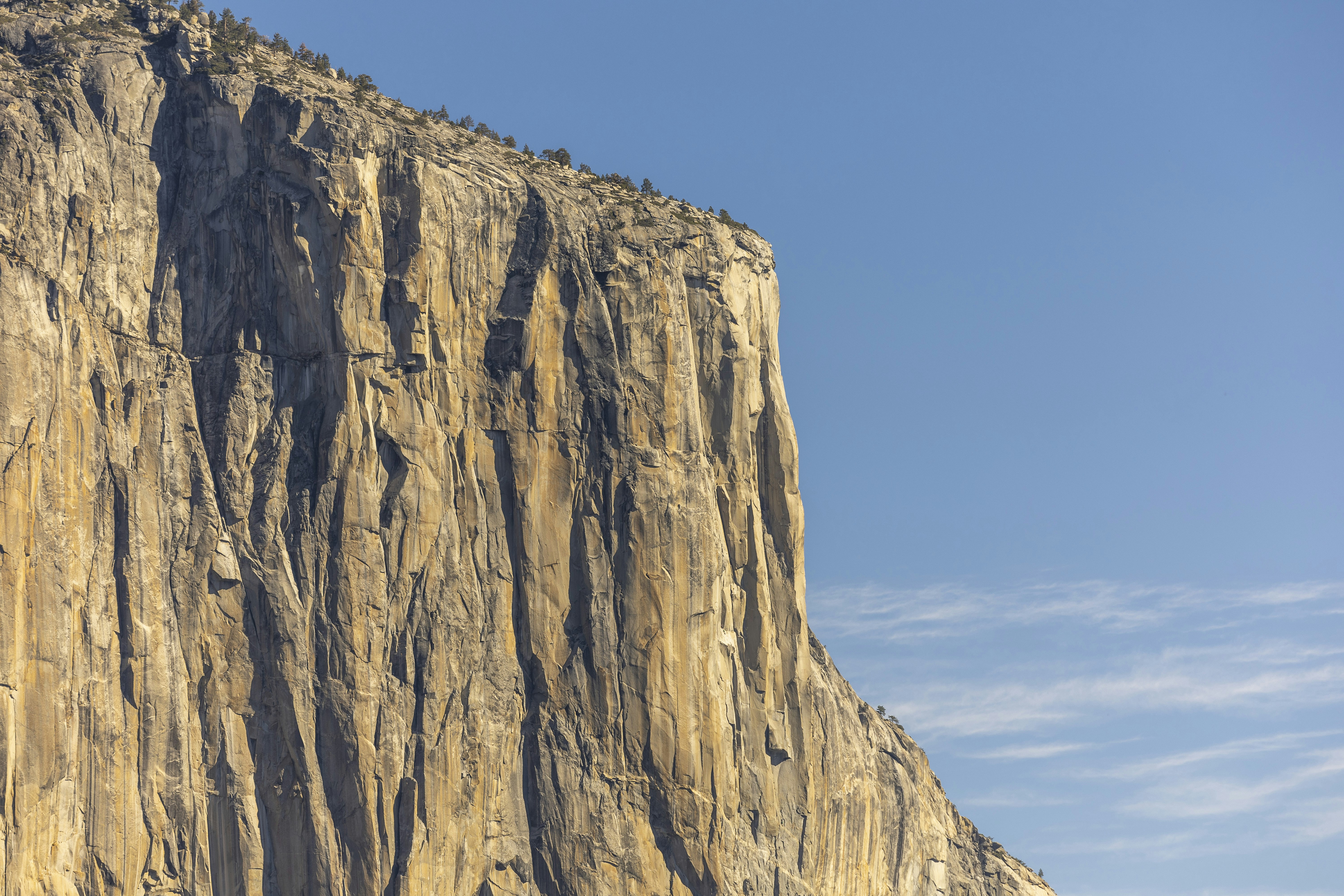 Photo by leo_visions_