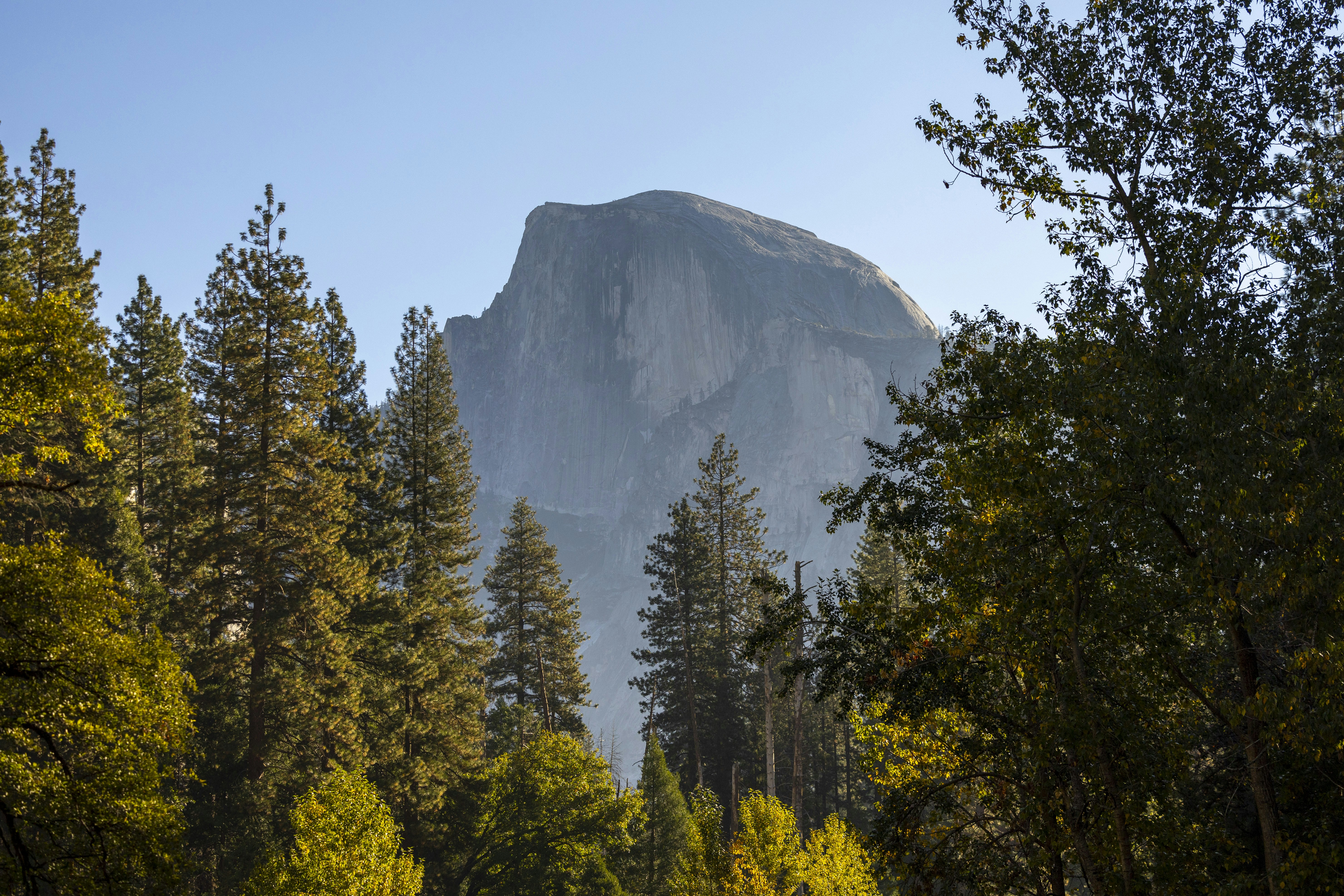 Photo by leo_visions_