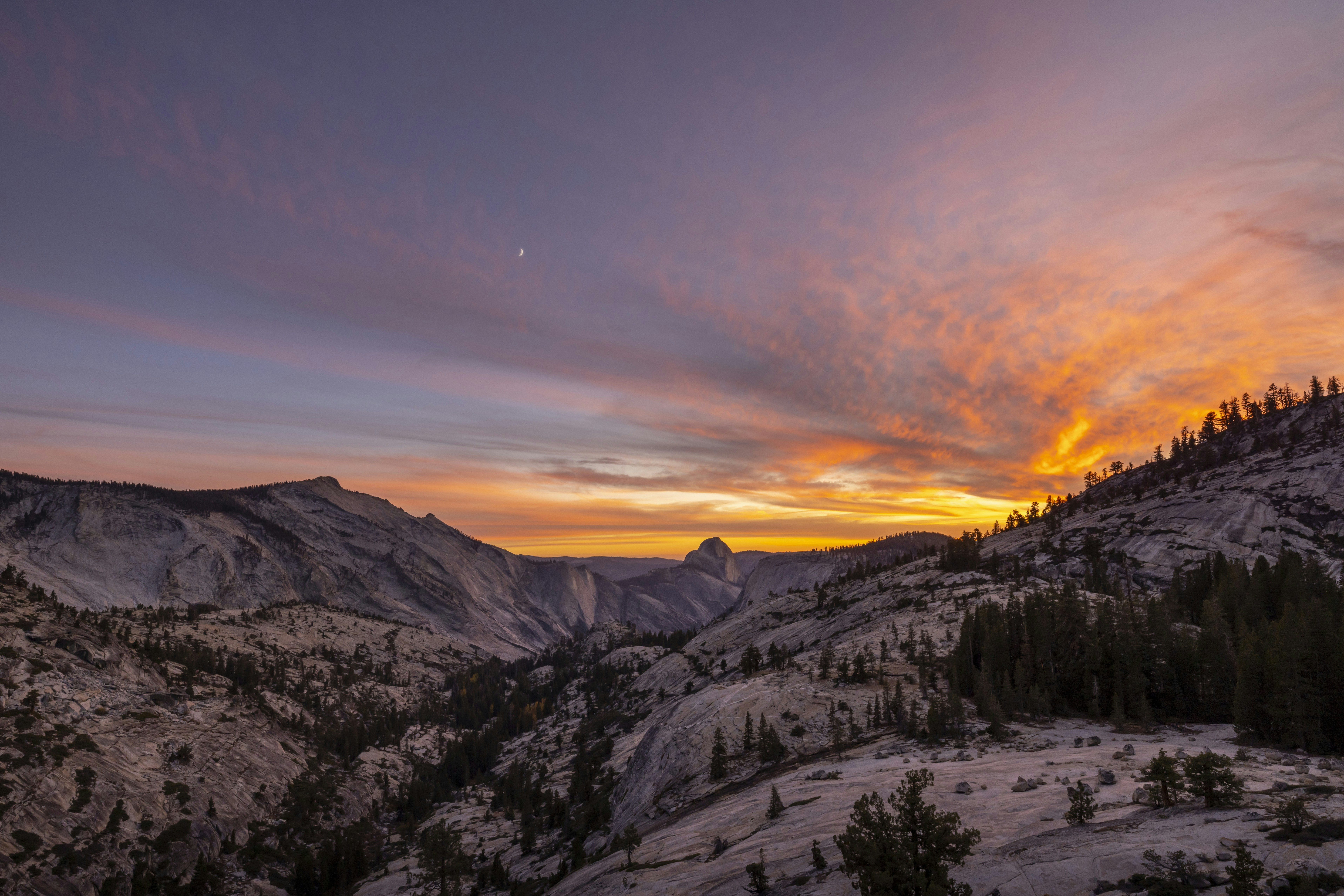 Photo by leo_visions_