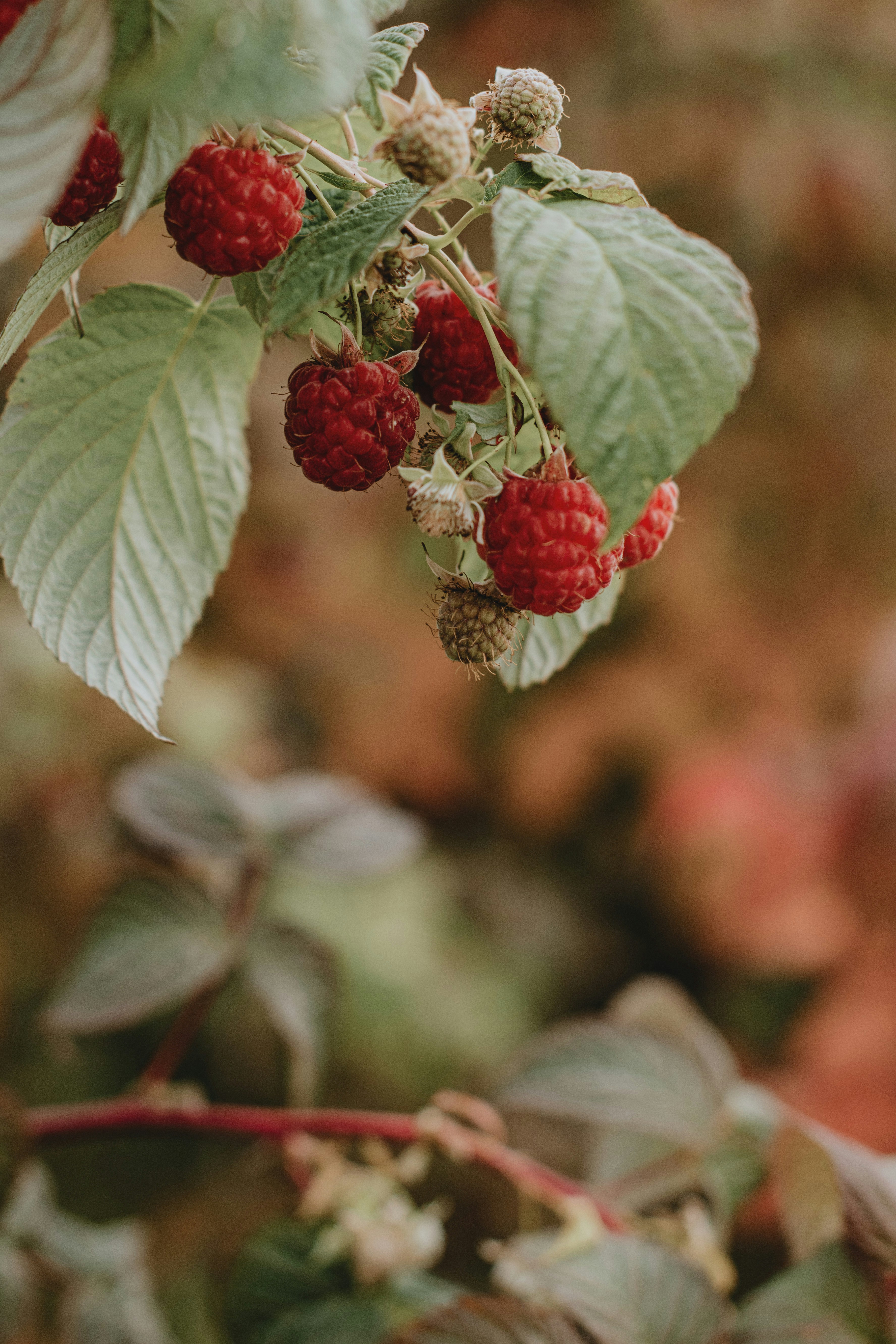 Photo by anitaaustvika