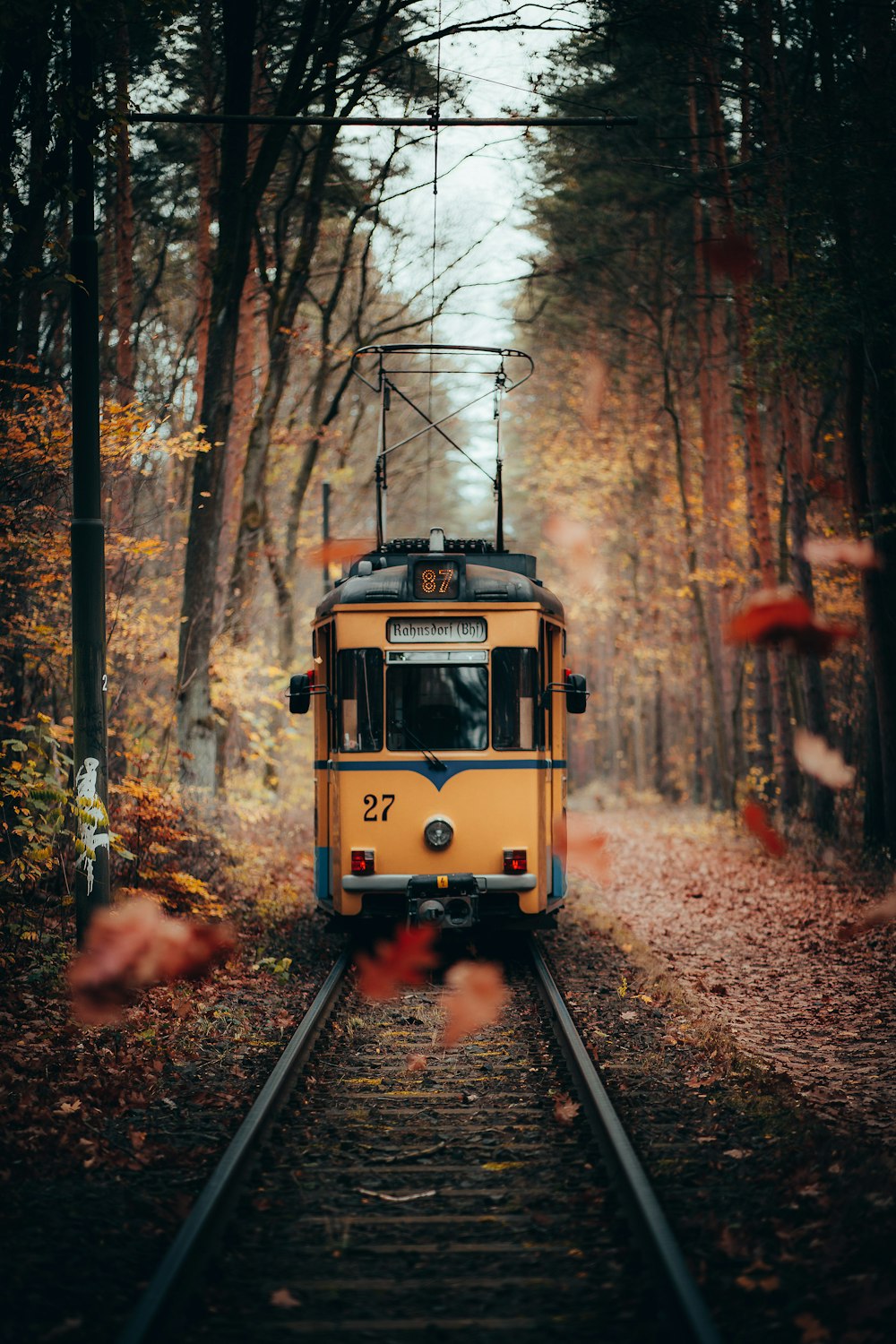 a train on the tracks