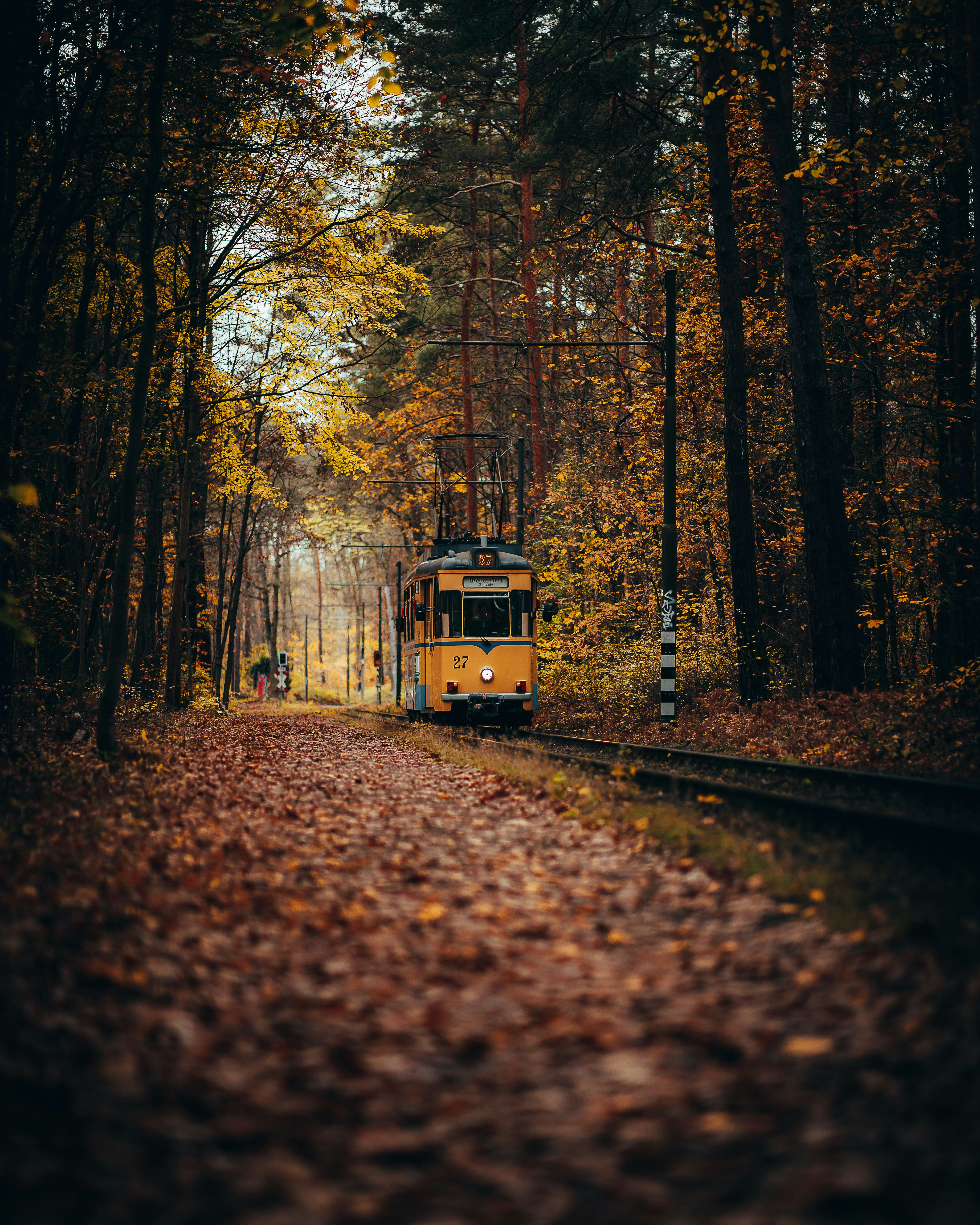 Photo by birkenwald