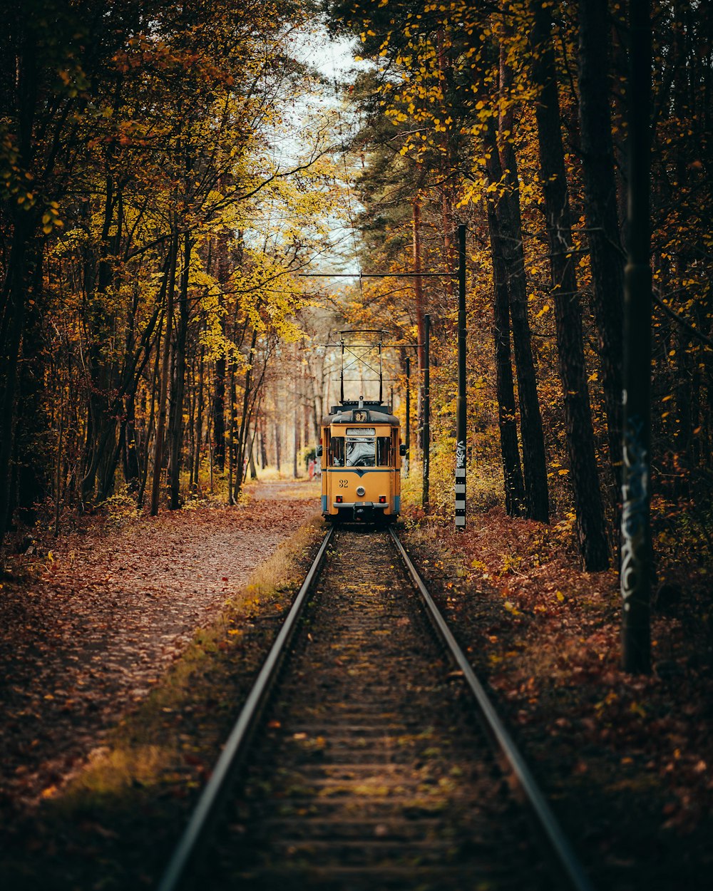 a train travels down the tracks