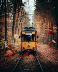 a yellow train on the tracks