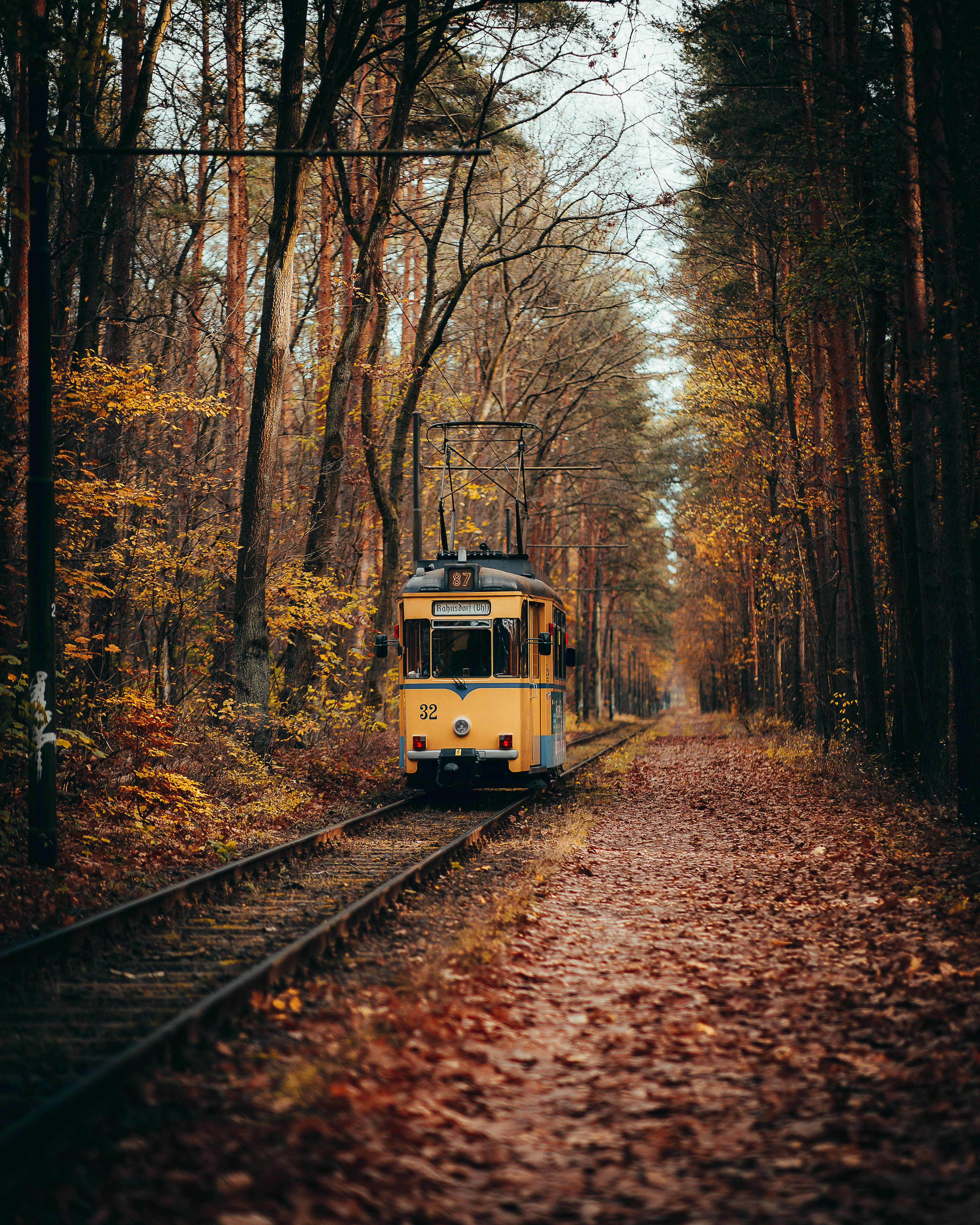 Photo by birkenwald