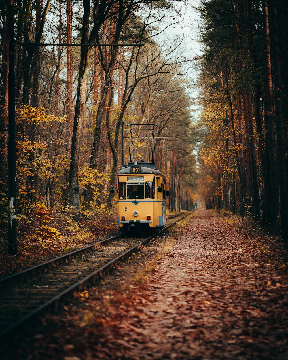 a train on the tracks