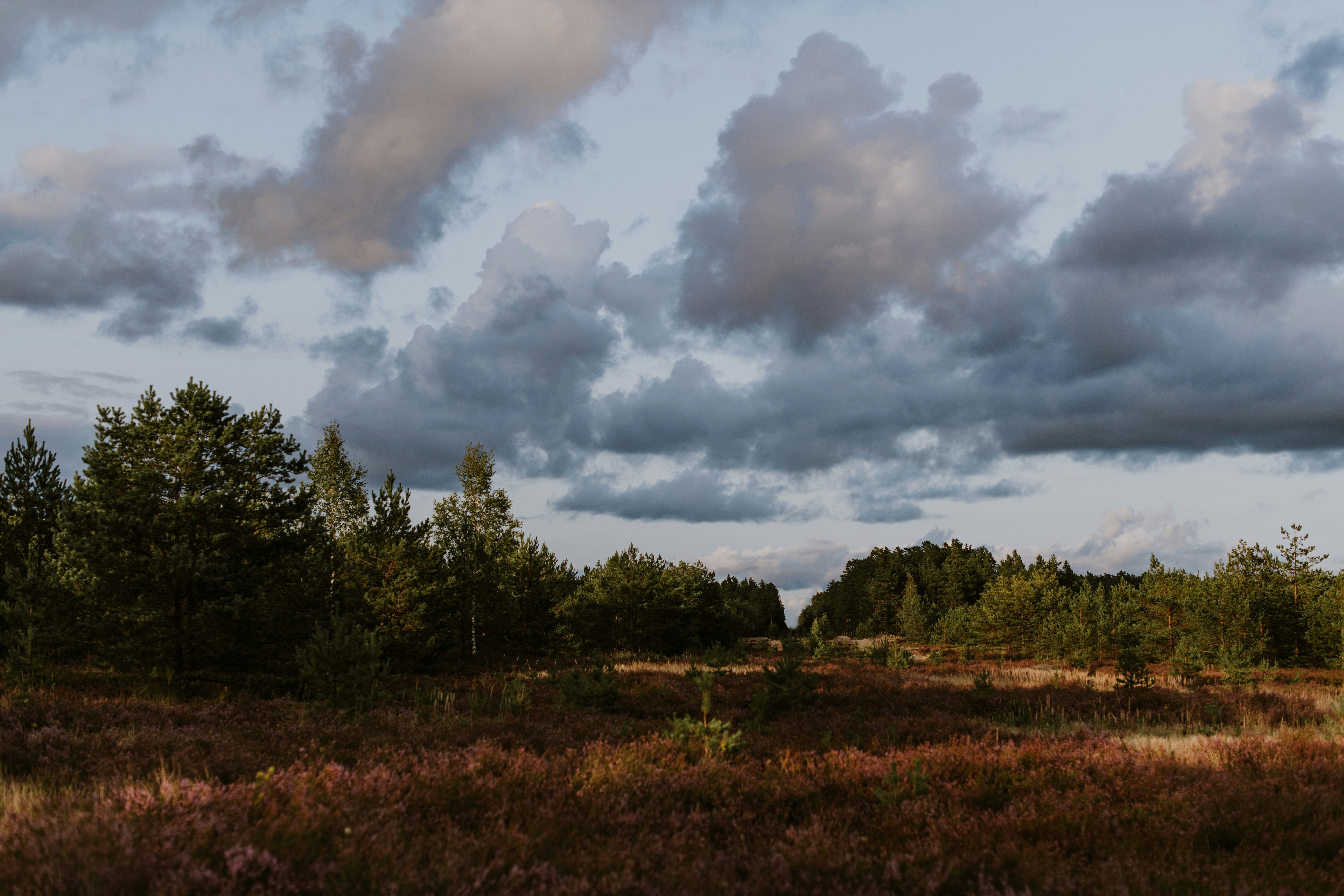 Photo by anitaaustvika