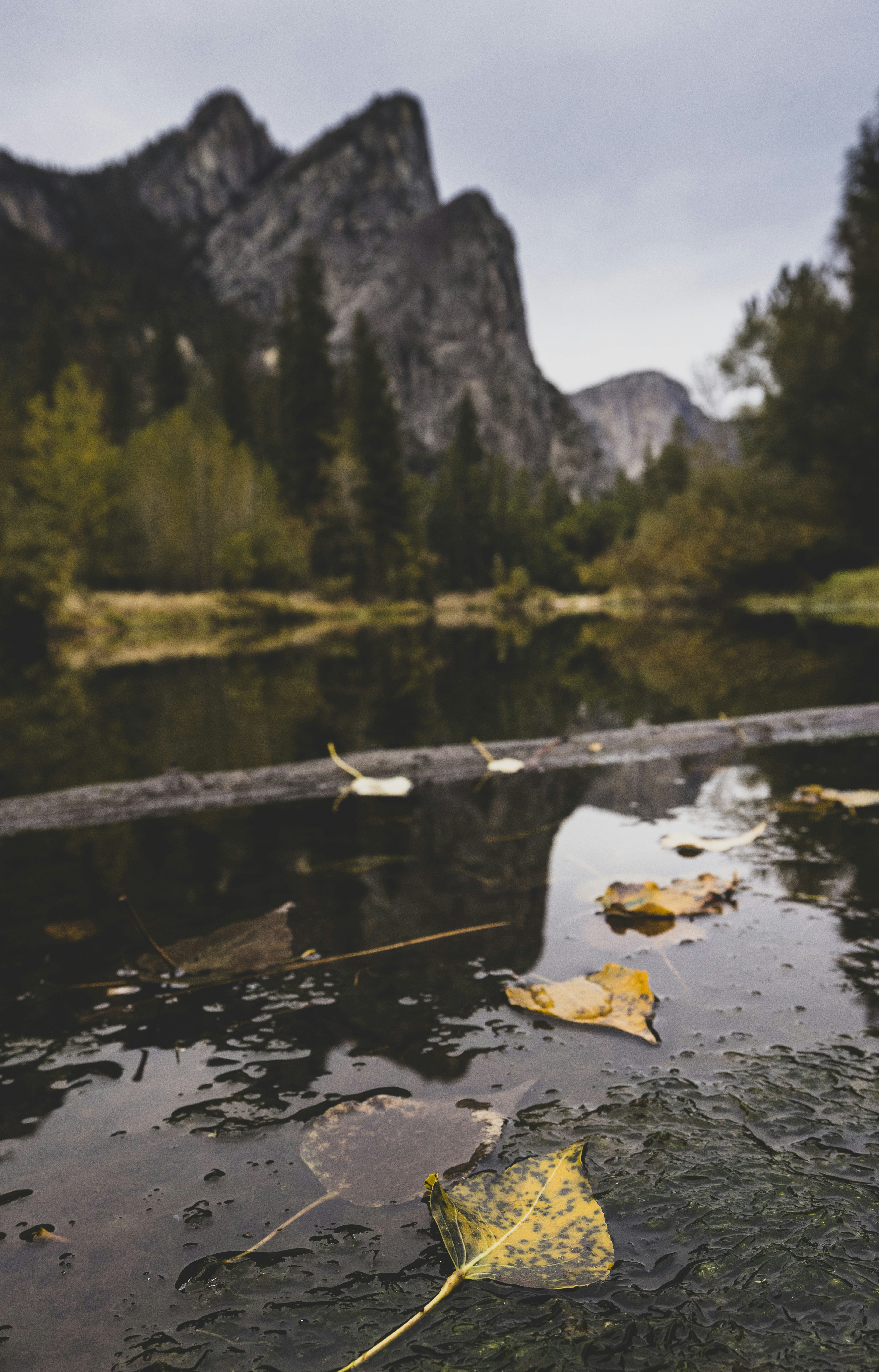 Photo by leo_visions_