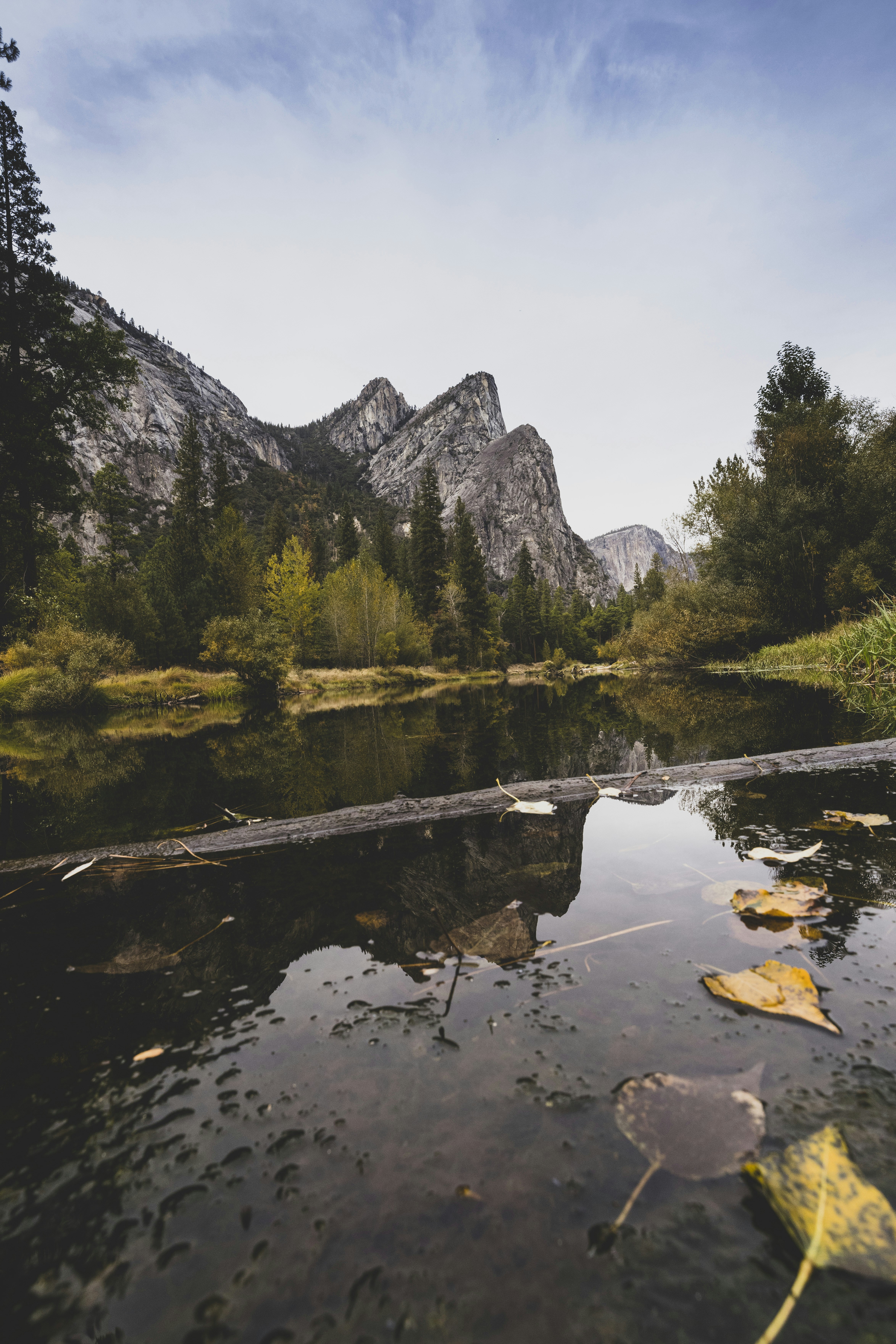 Photo by leo_visions_