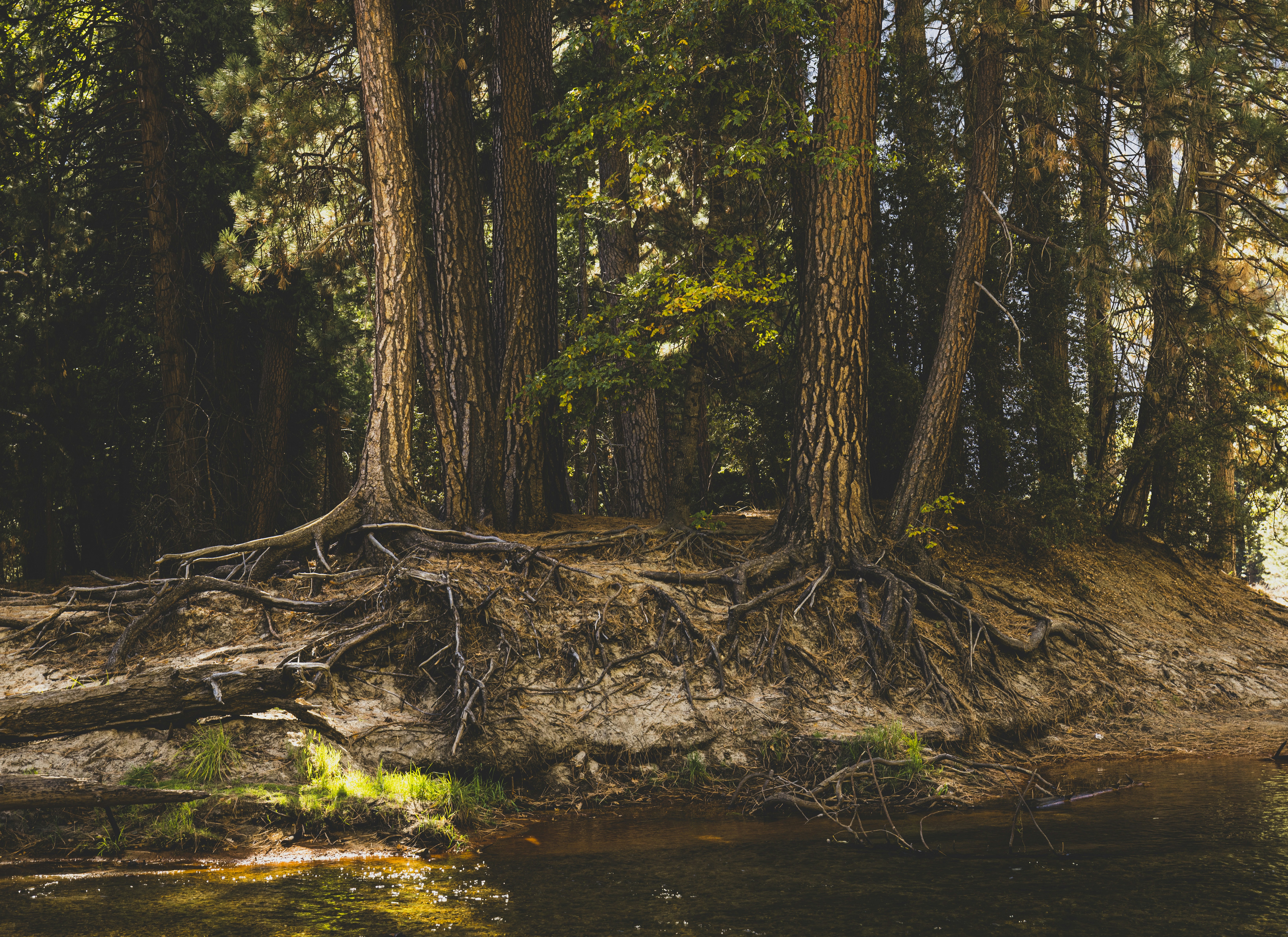 Photo by leo_visions_