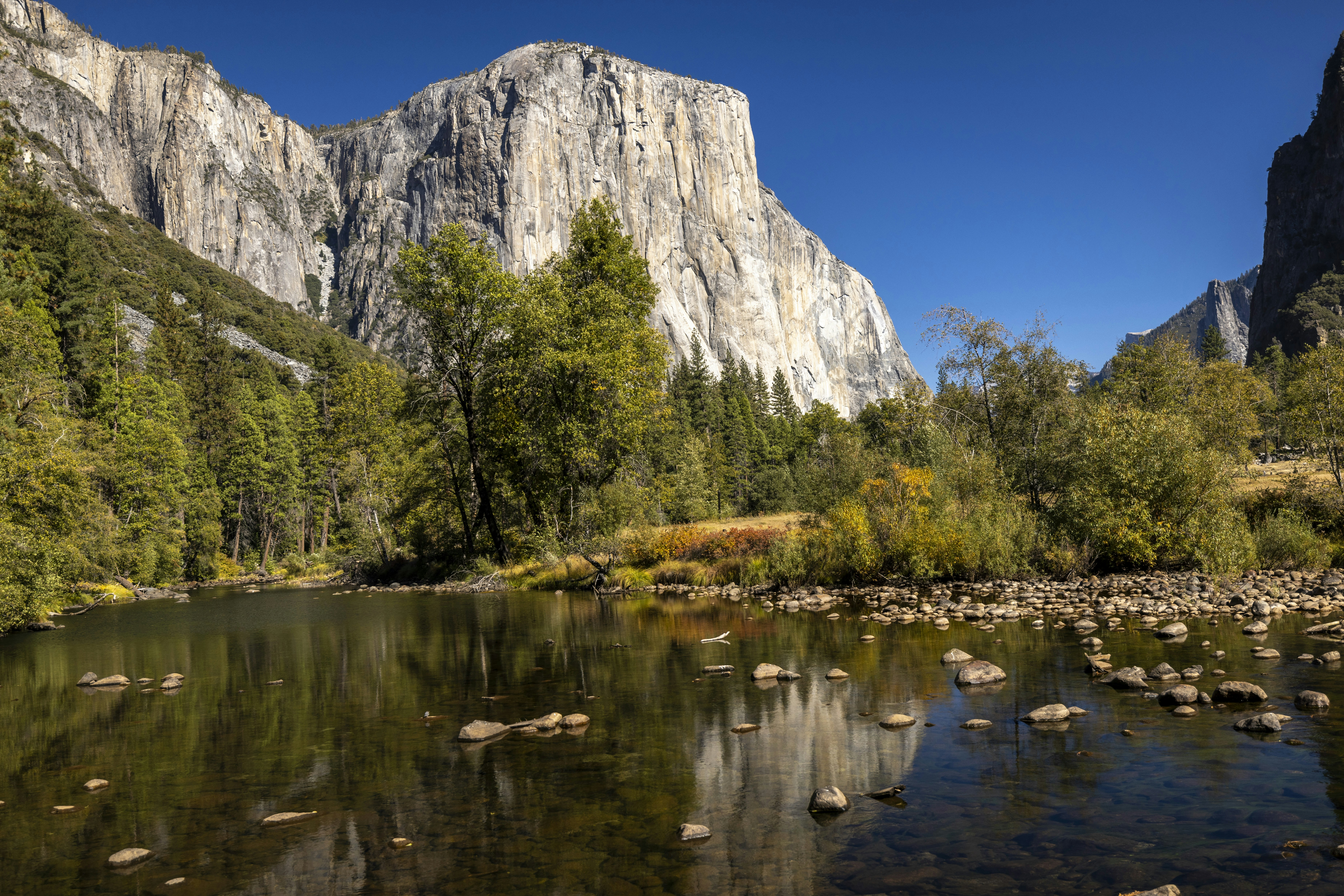 Photo by leo_visions_