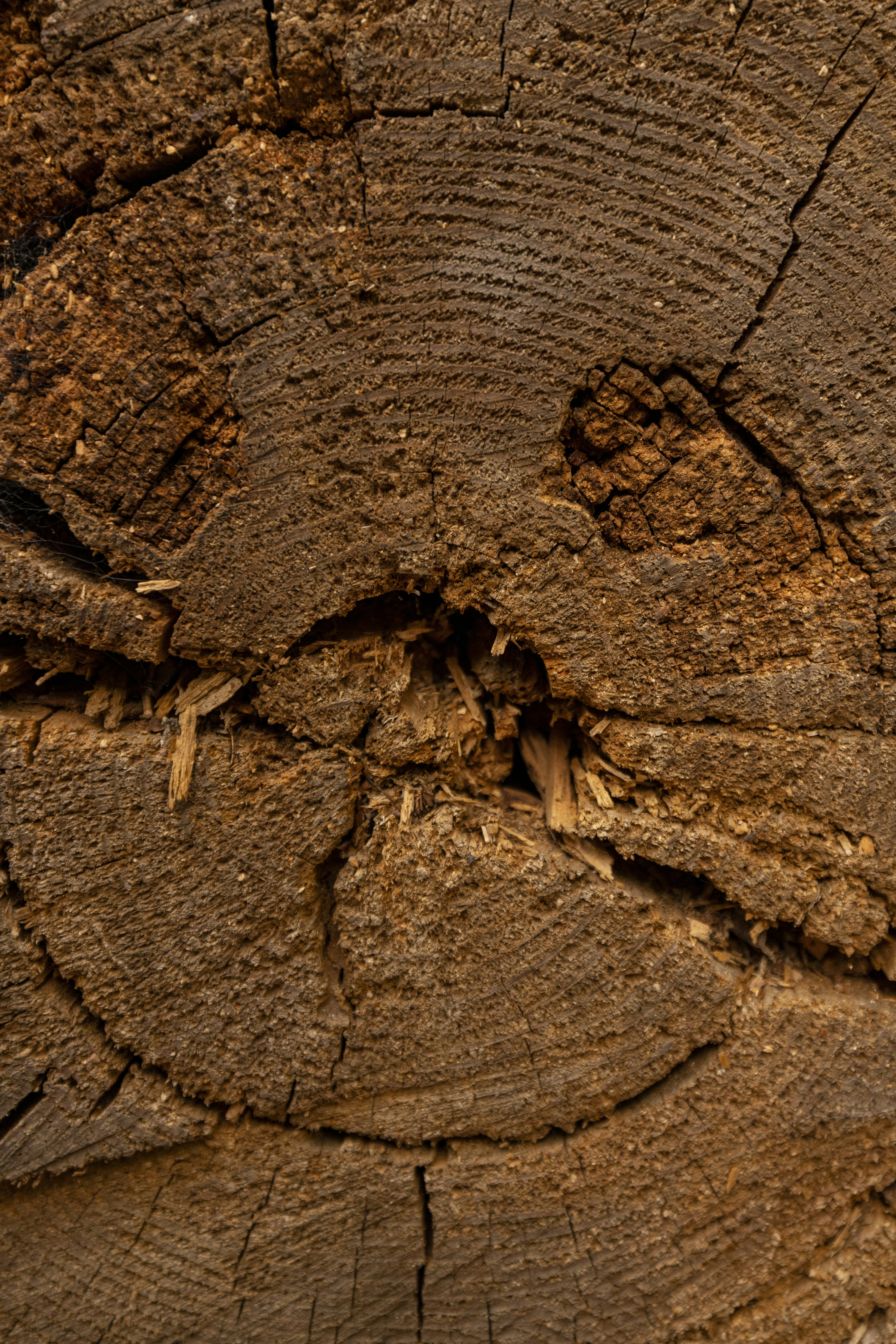 Photo by leo_visions_