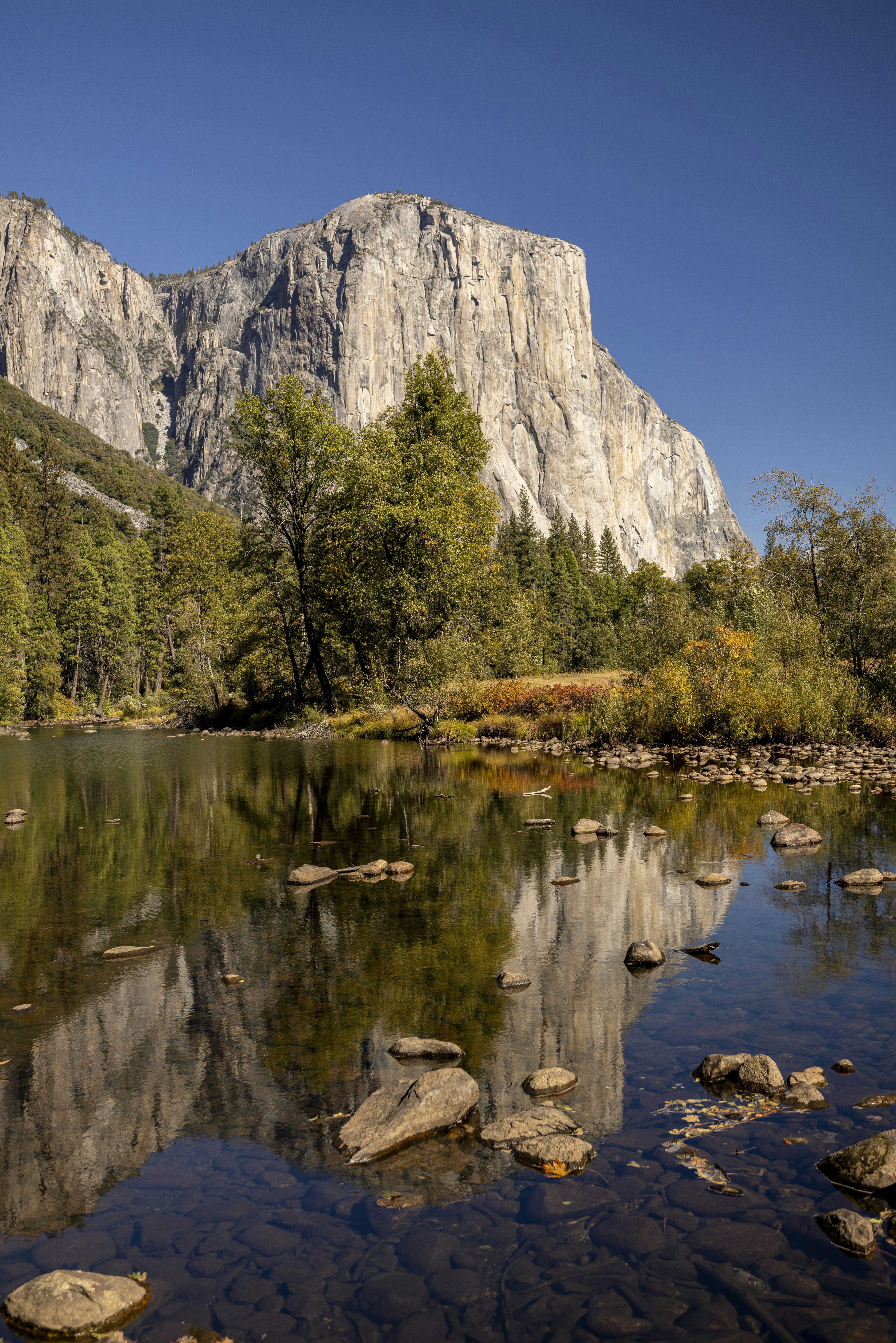 Photo by leo_visions_