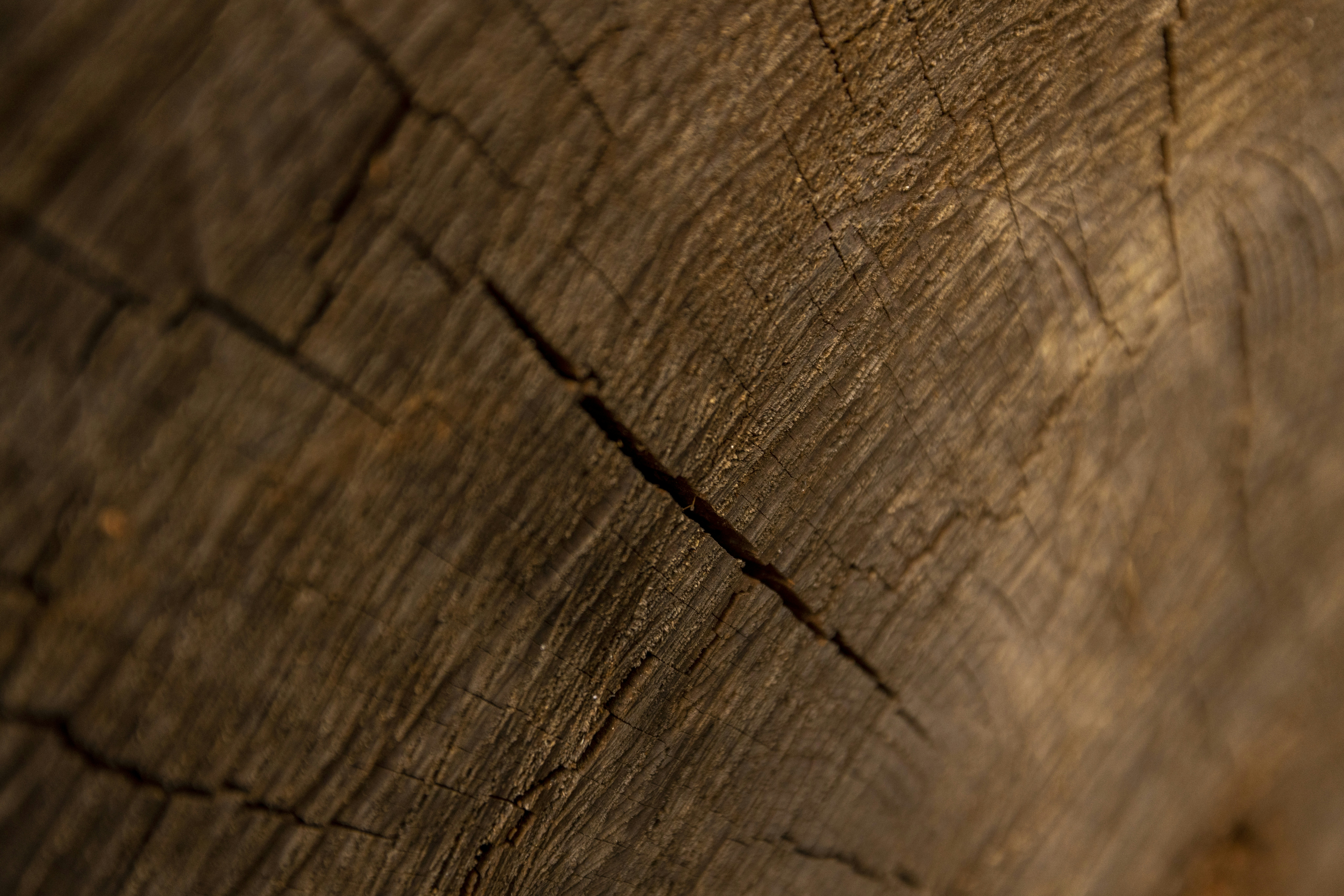 Photo by leo_visions_