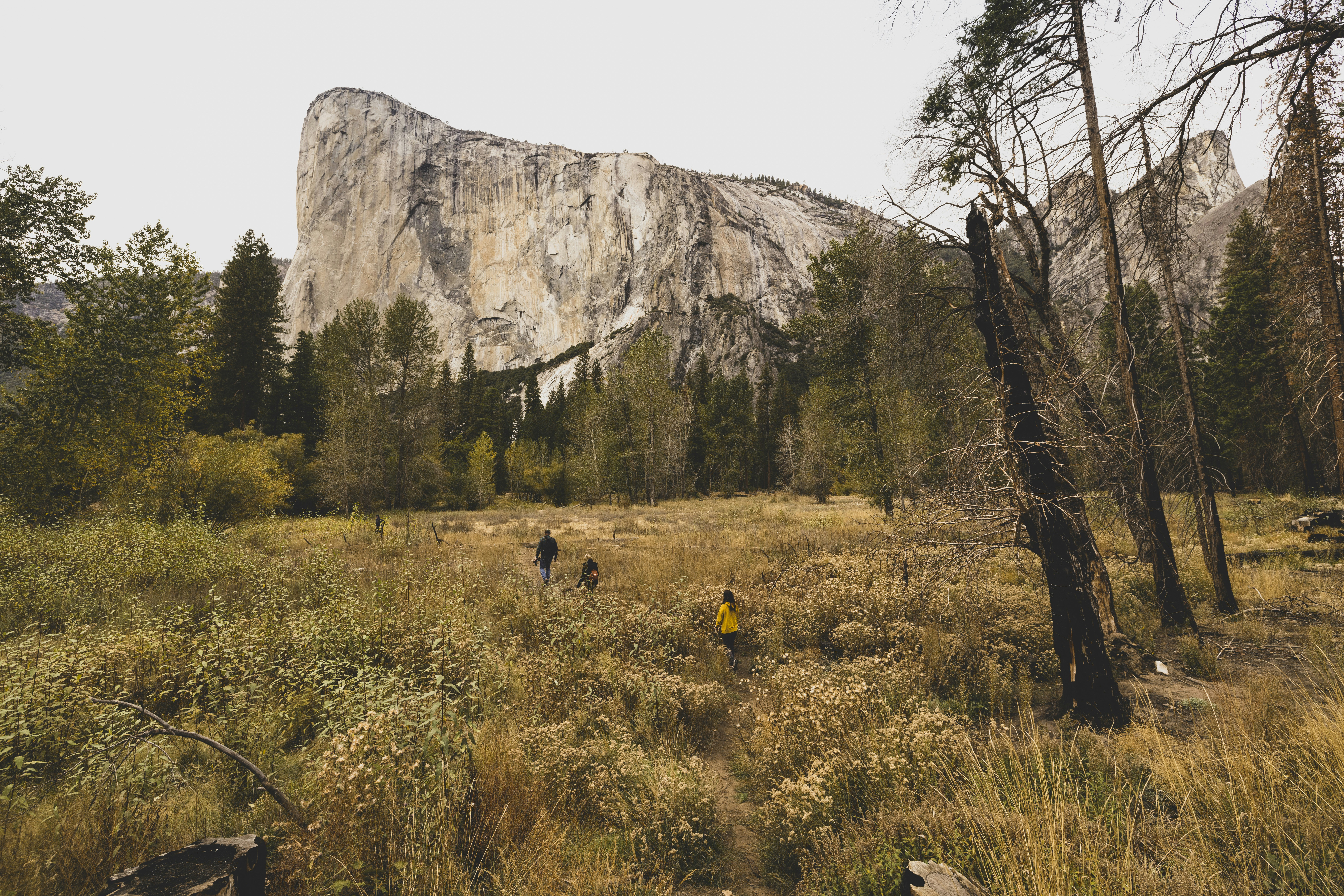 Photo by leo_visions_