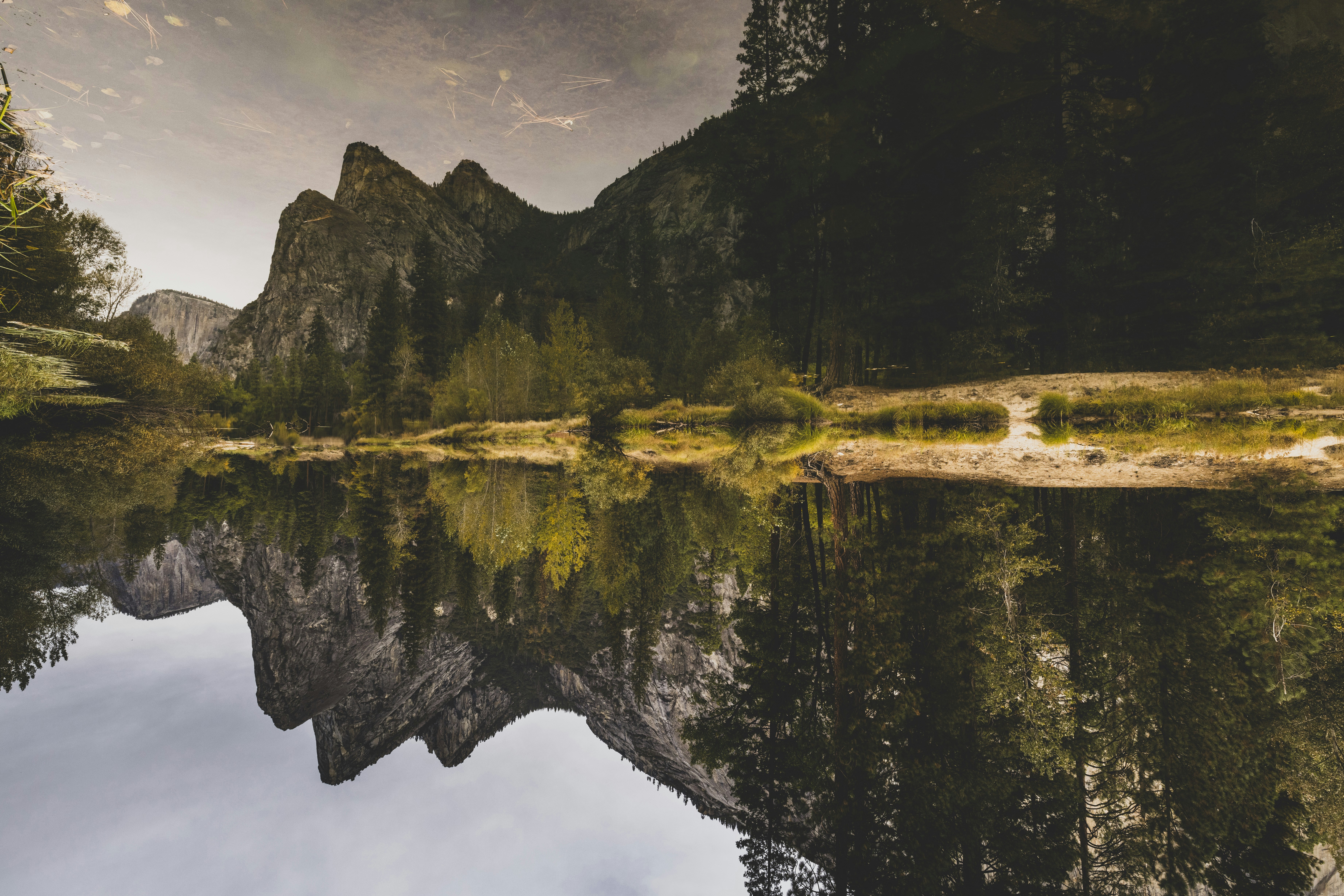 Photo by leo_visions_