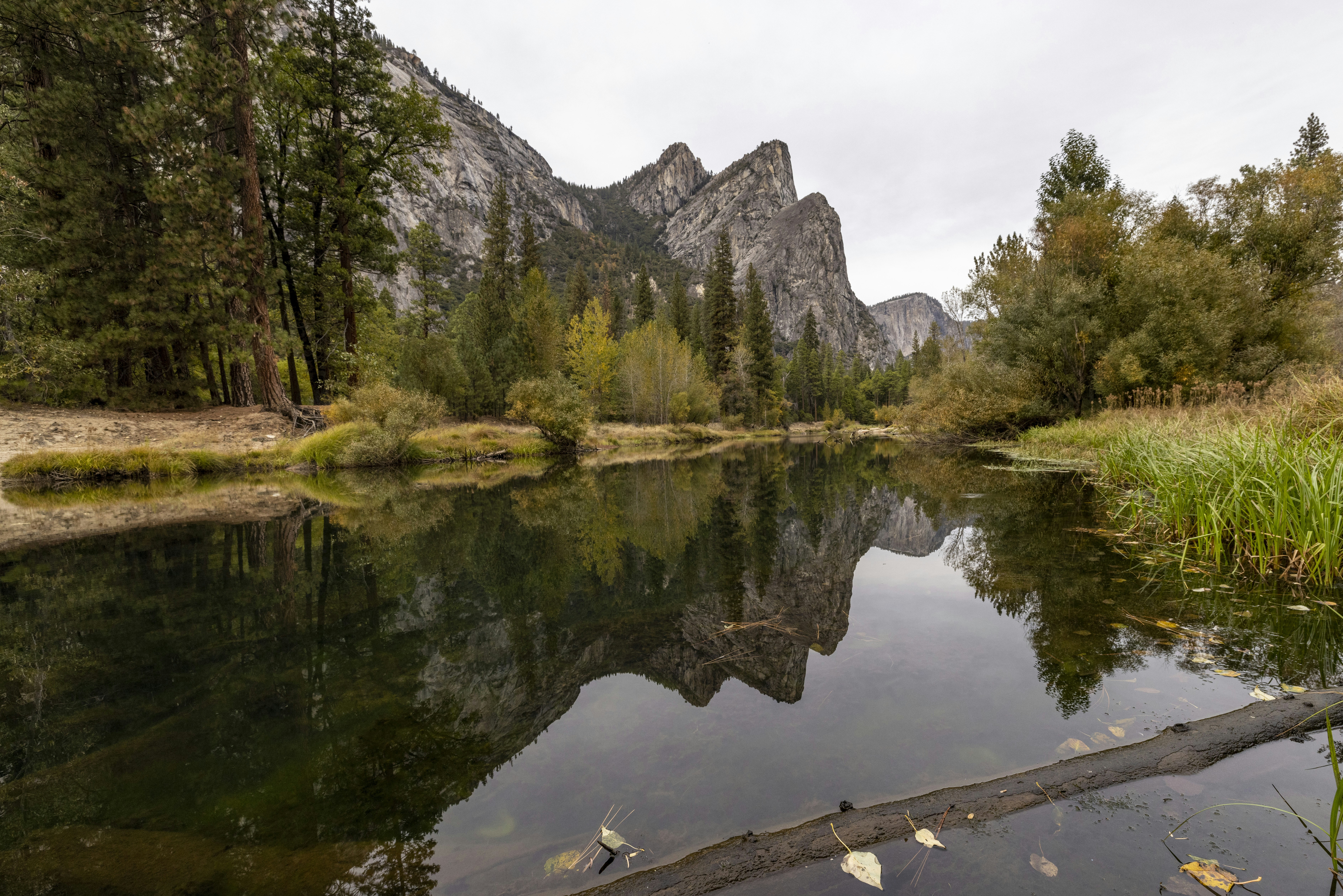 Photo by leo_visions_