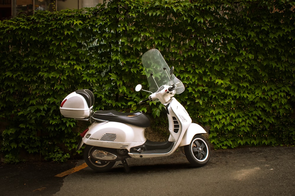 una moto bianca parcheggiata sul ciglio di una strada