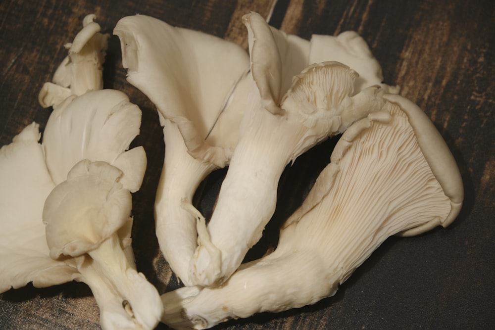 a group of white mushrooms