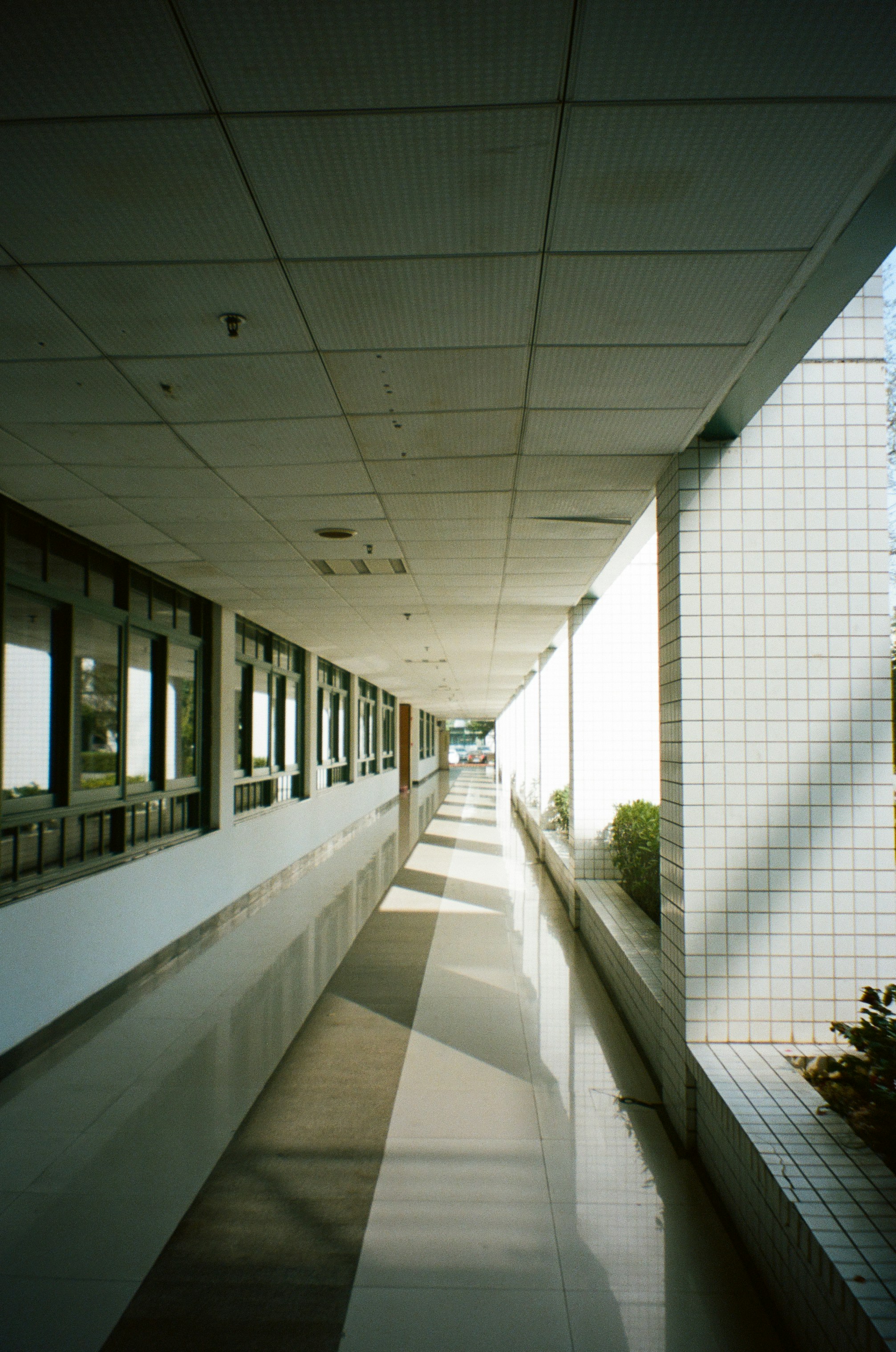 Photo by moononmoons