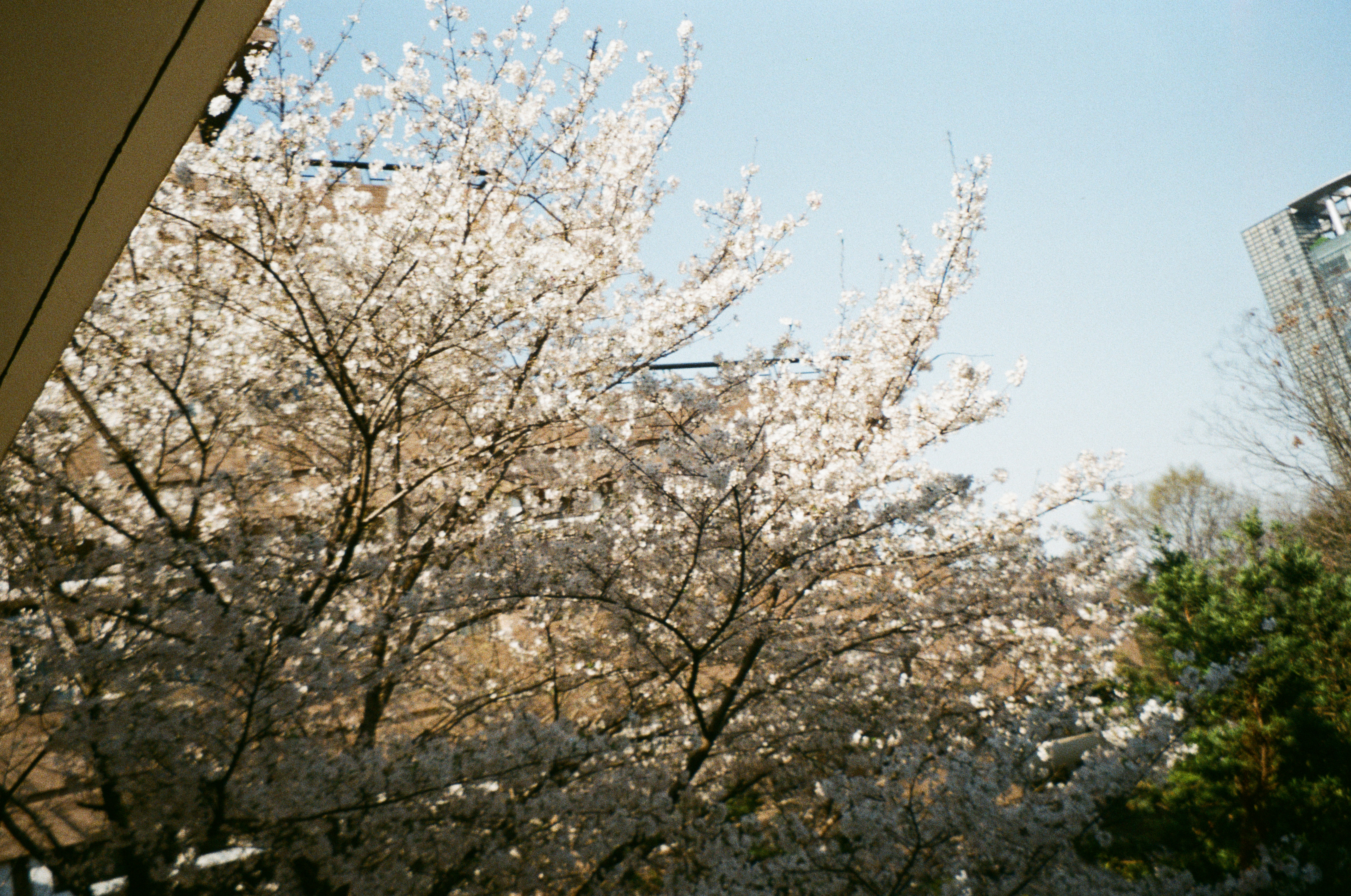 Photo by moononmoons