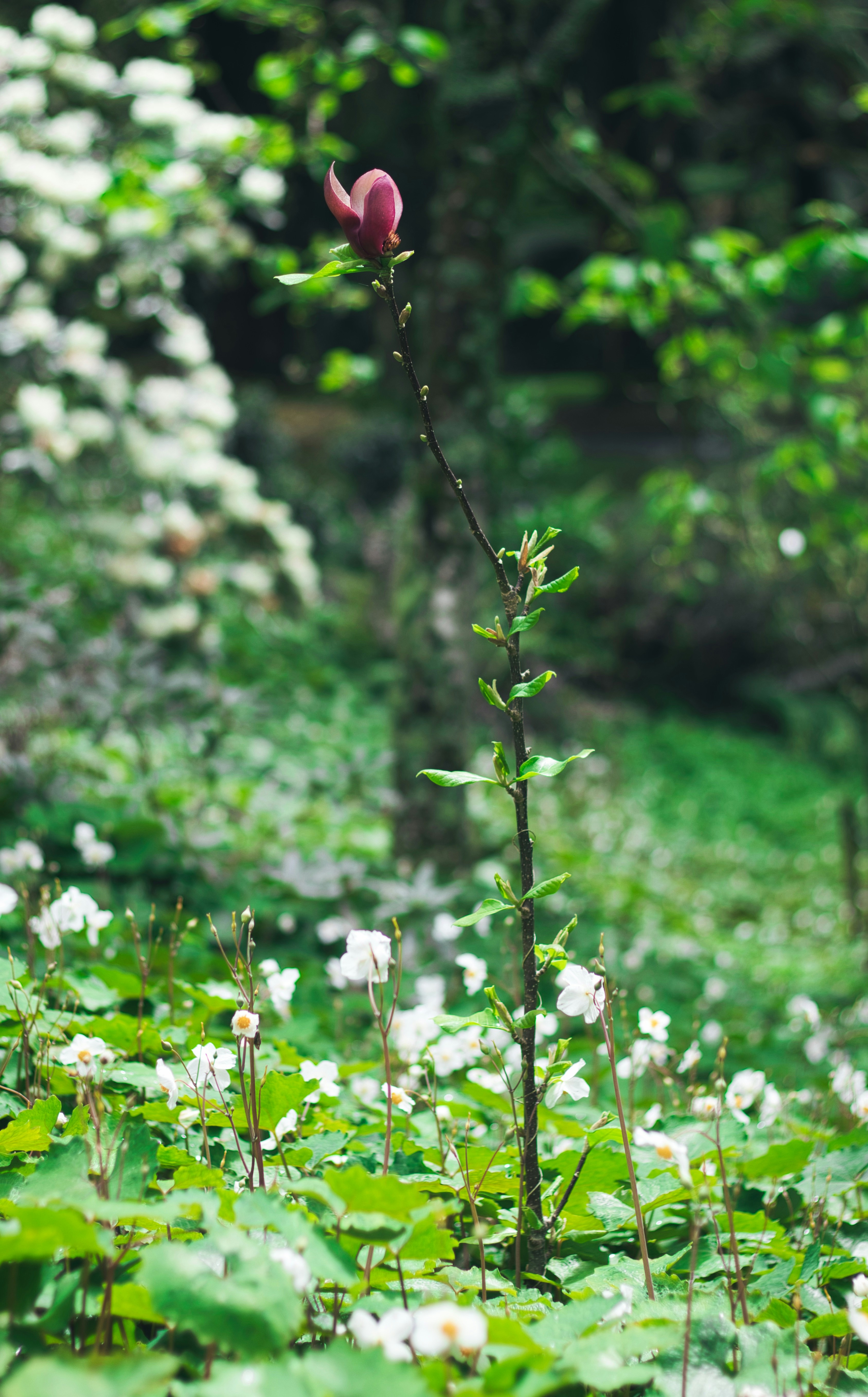 Photo by viusstudios